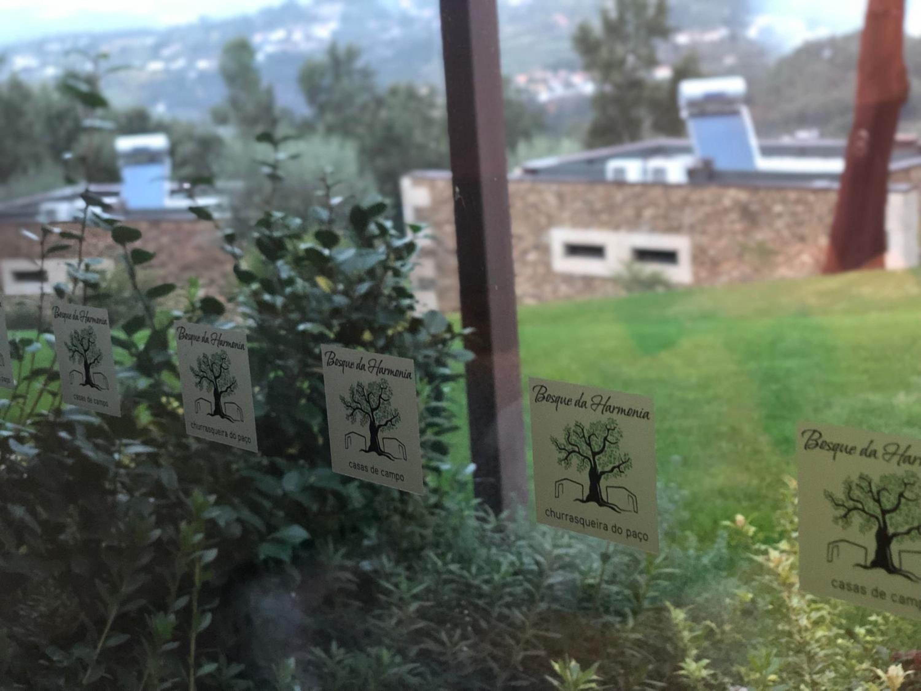 Suite with Mountain View - Photo 2