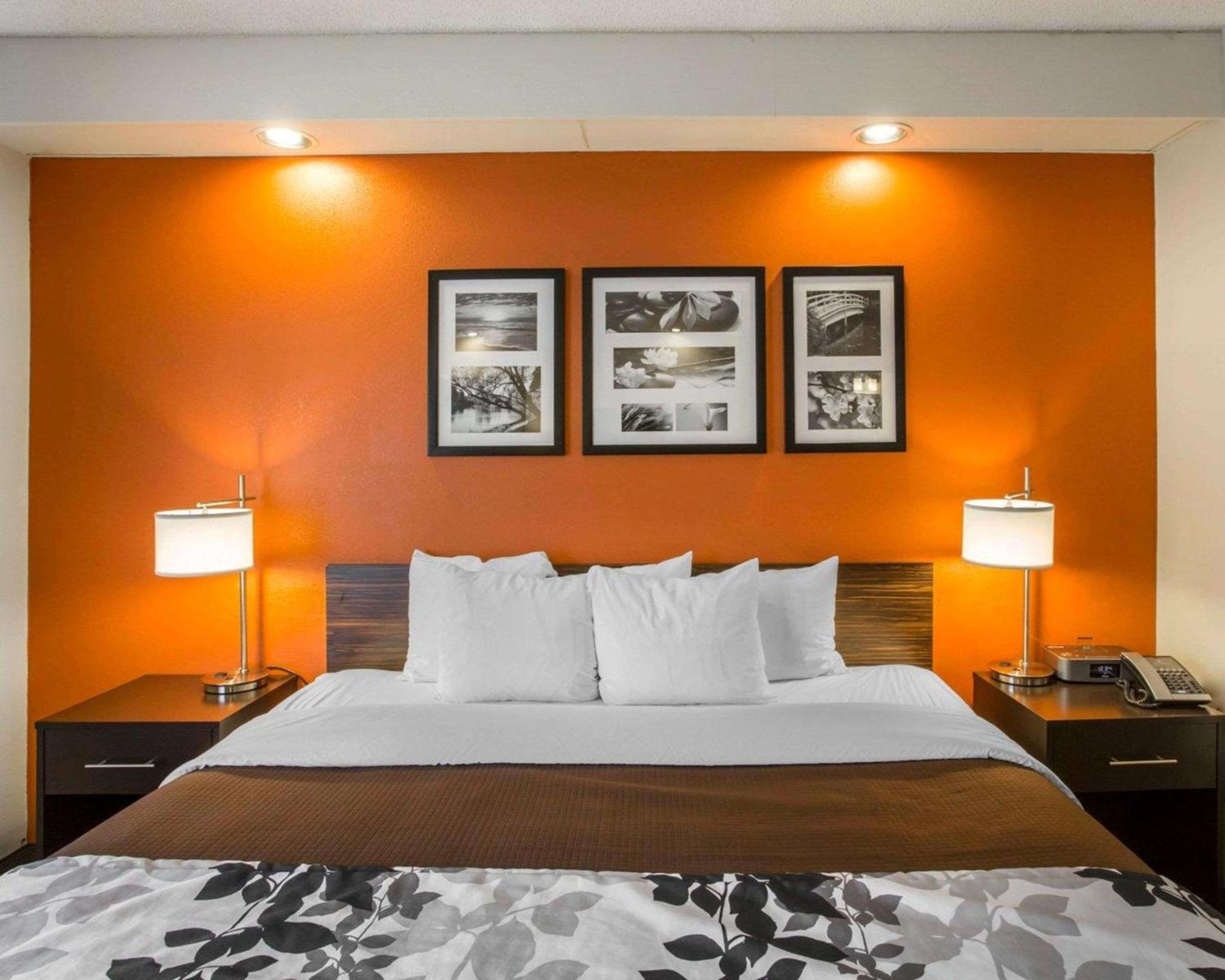 King Room - Non-Smoking - Photo 1