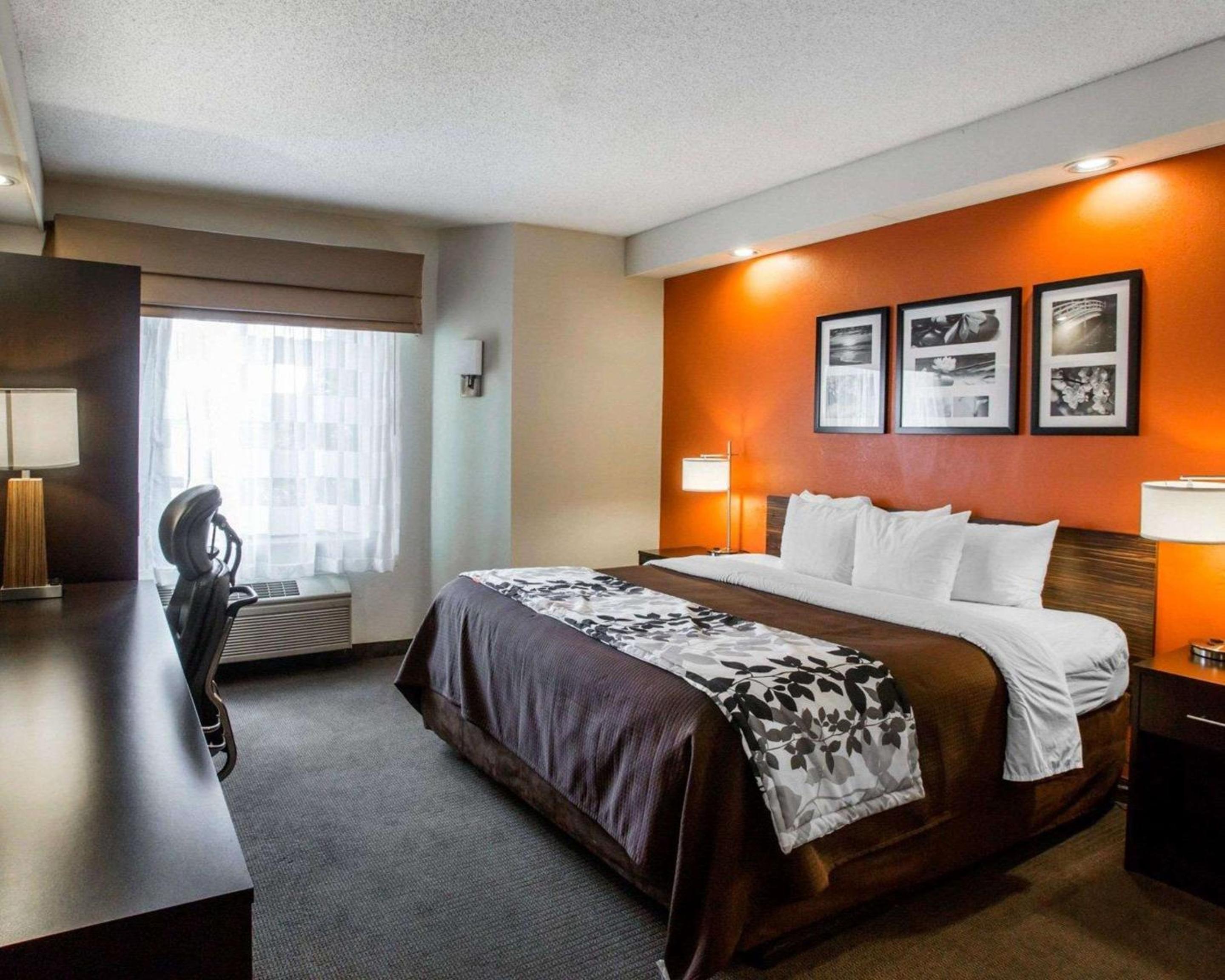 Queen Room - Disability Access/Non-Smoking - Photo 1