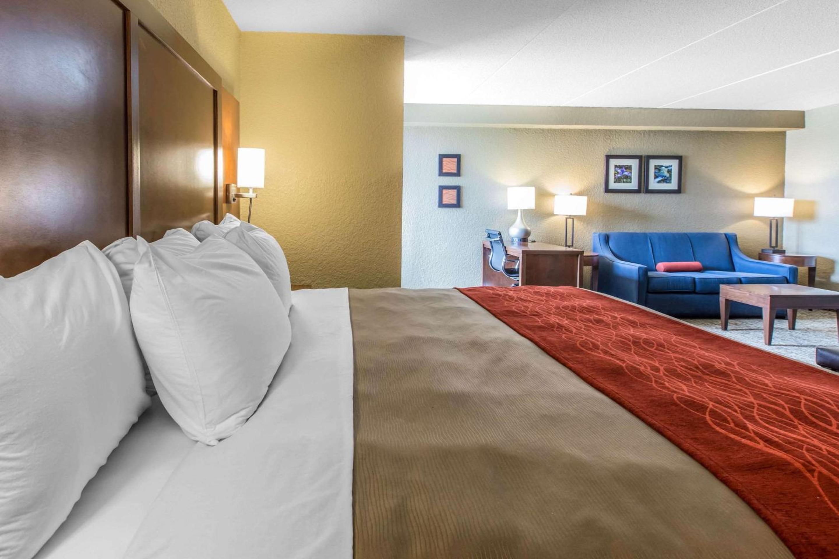 King Suite - Non-Smoking - Photo 5