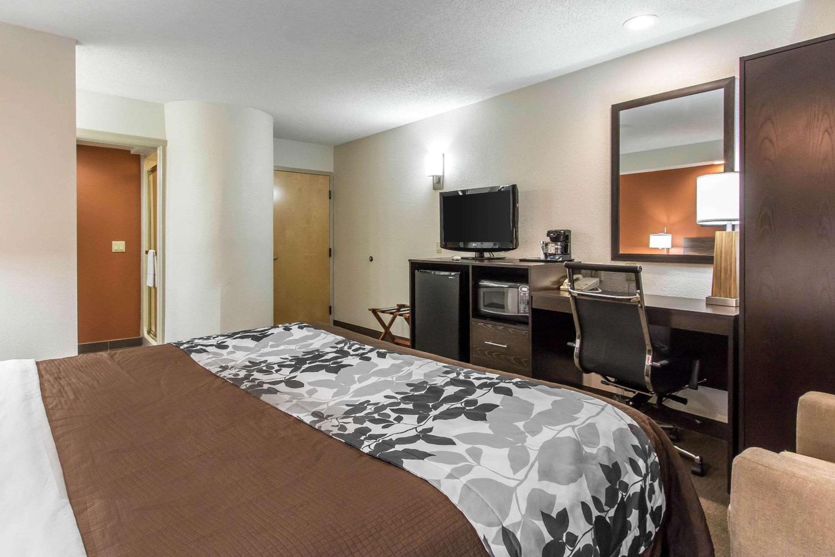 Queen Room Disability Access - Photo 4