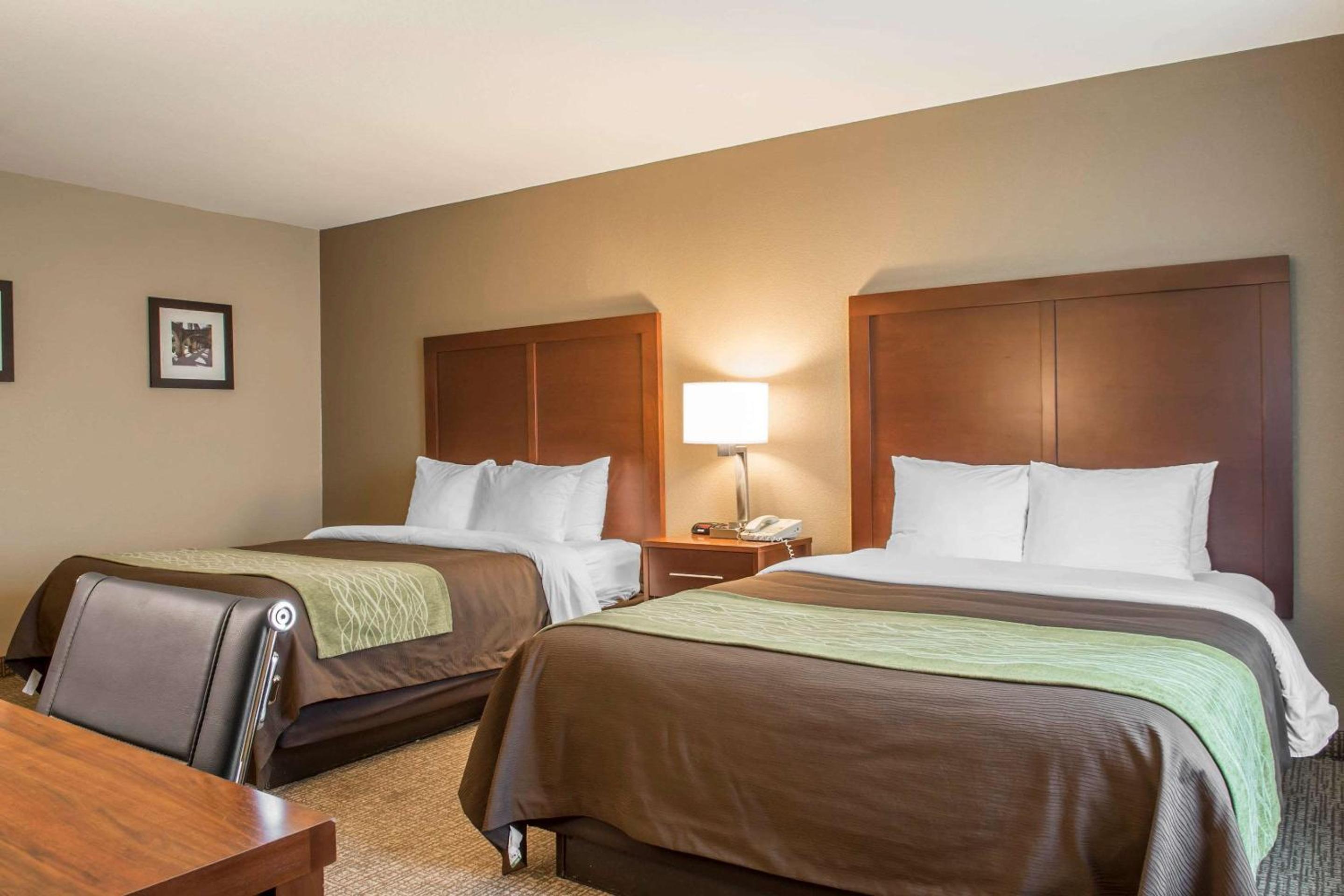 Queen Suite with Two Queen Beds - Non-Smoking - Photo 4