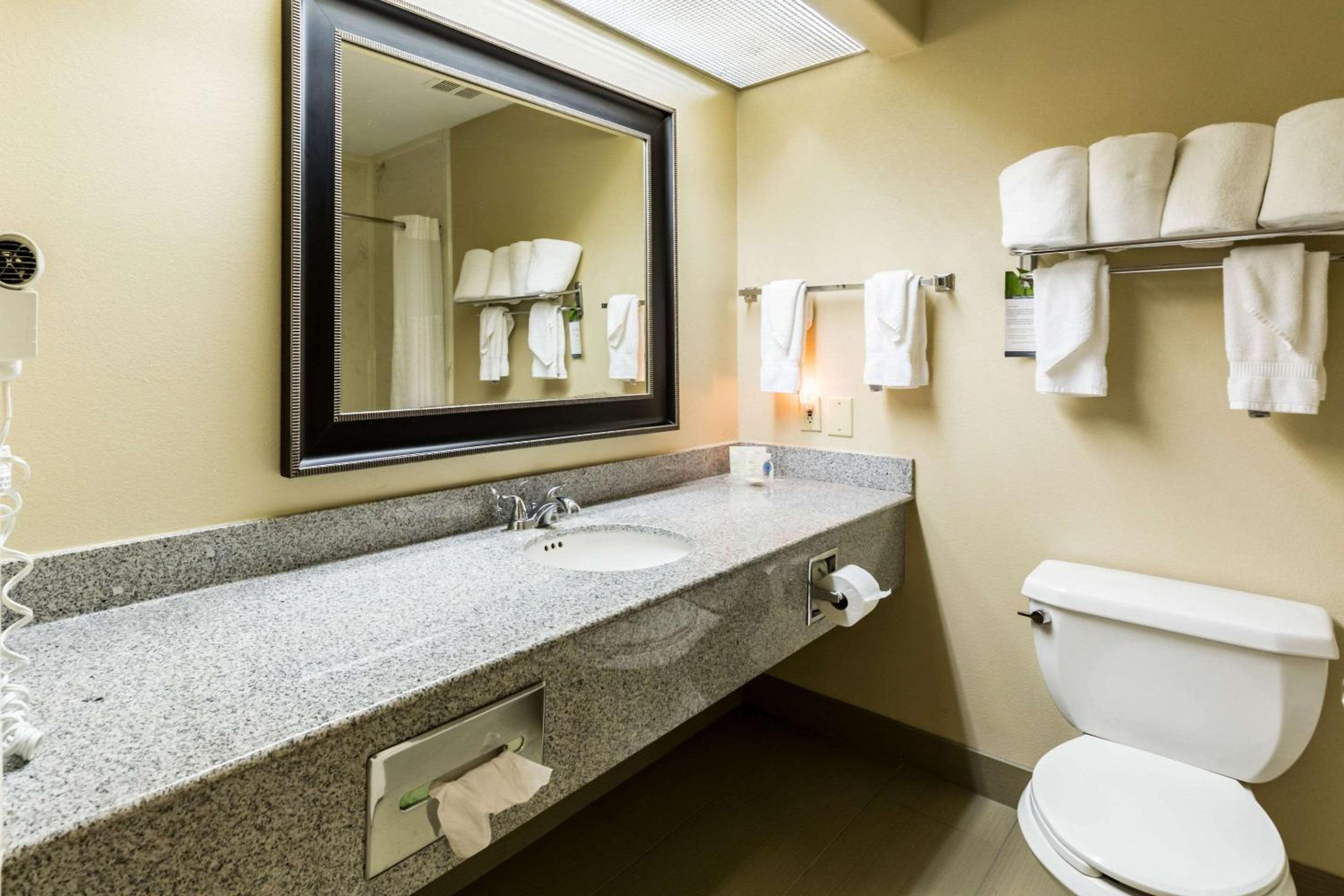 King Suite - Non-Smoking - Photo 3