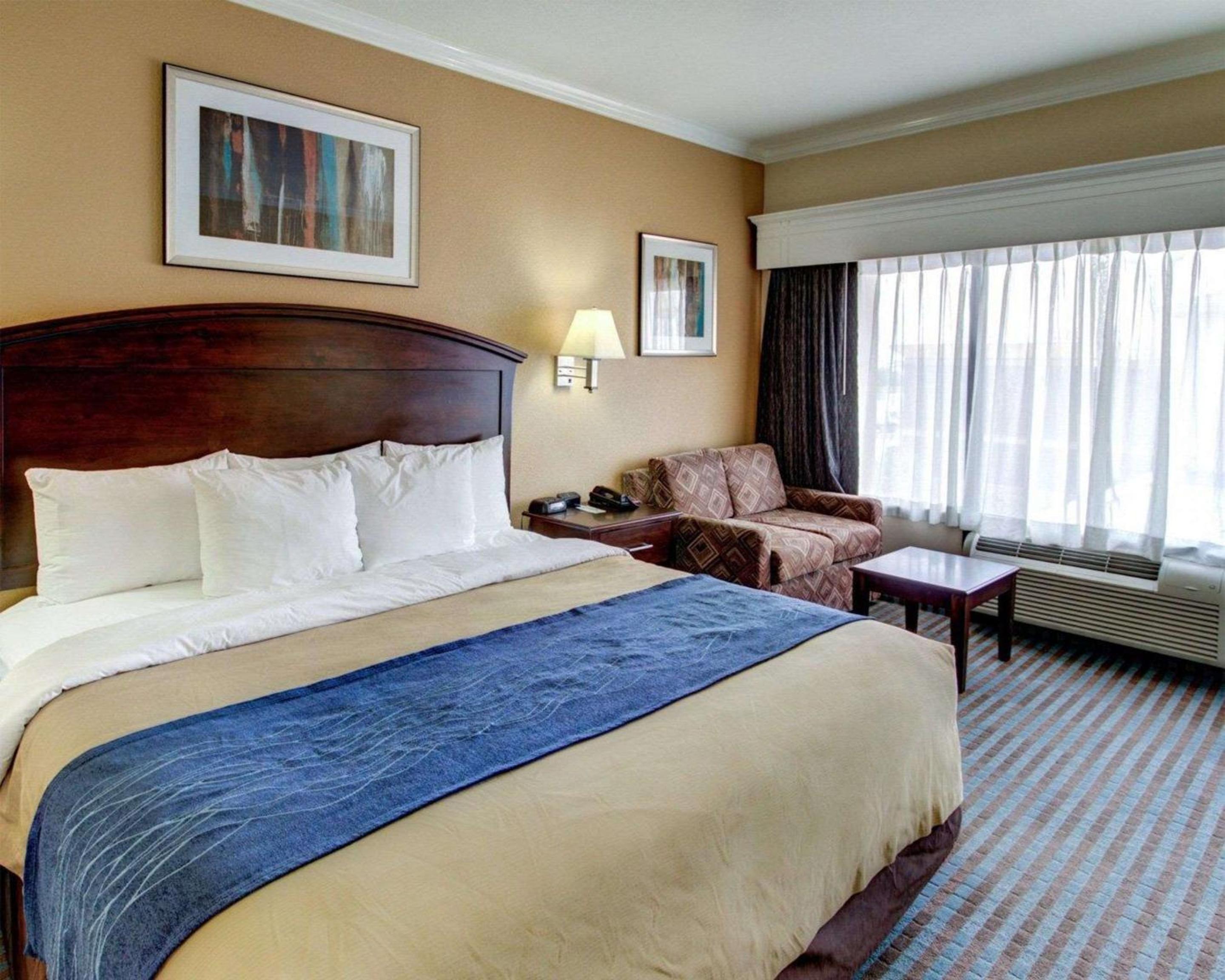 King Room - Non-Smoking - Photo 4