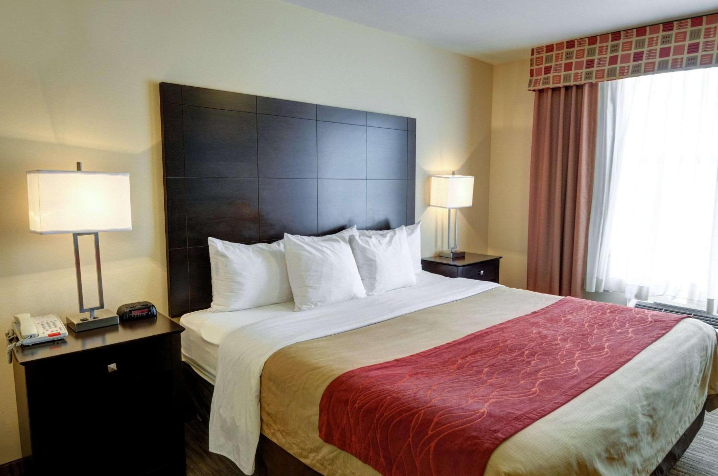 King Suite - Photo 4