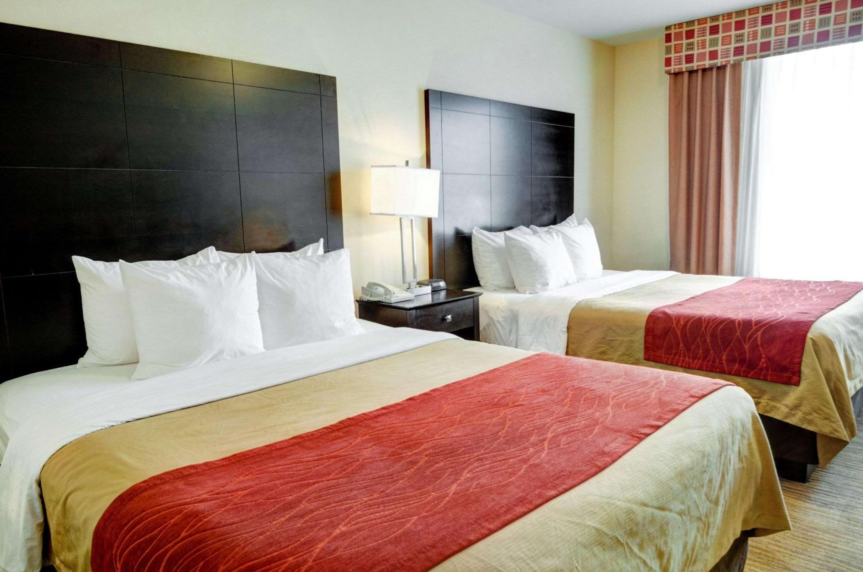 Queen Suite - Photo 4
