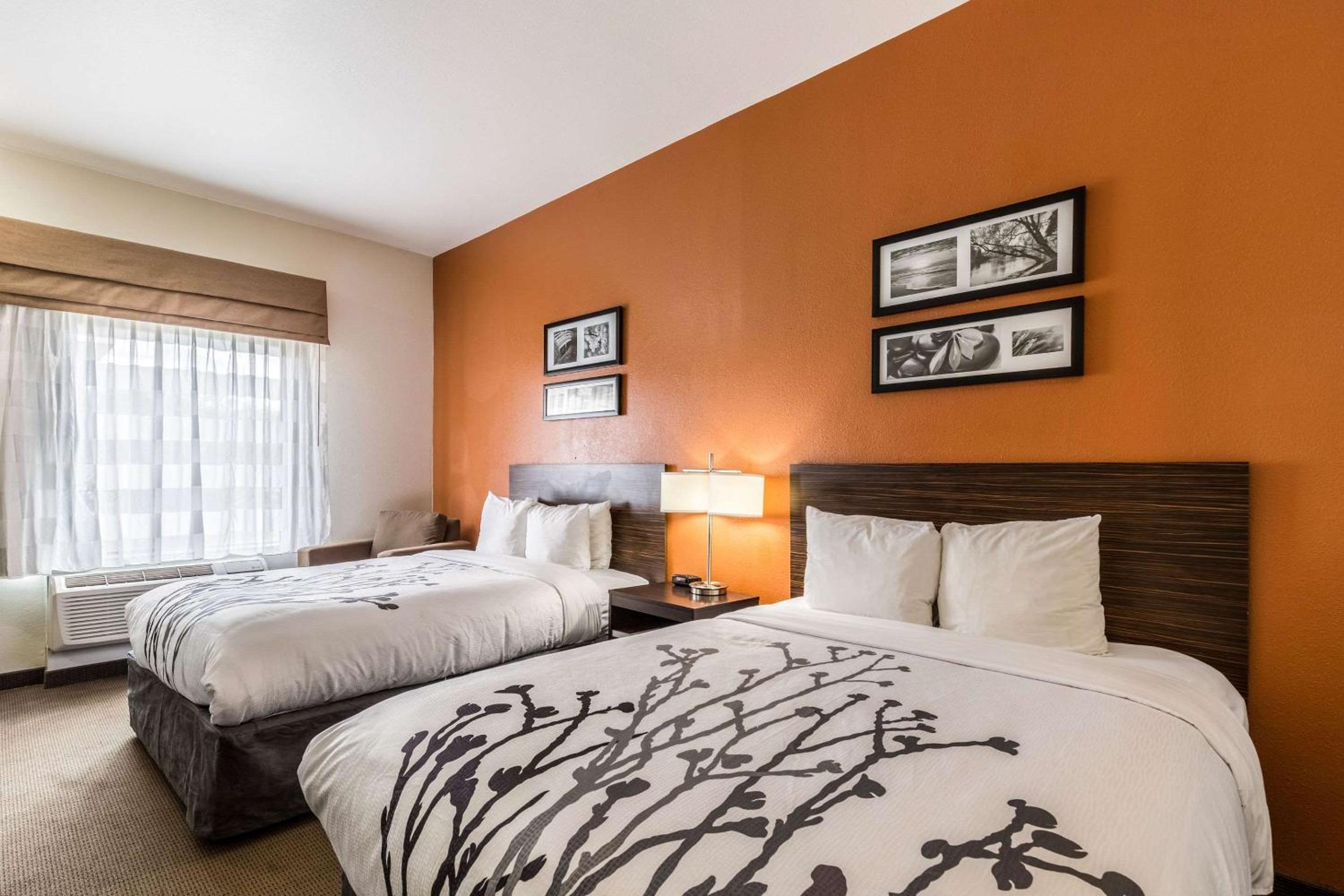 Queen Room with Two Queen Beds - Non-Smoking - Photo 3