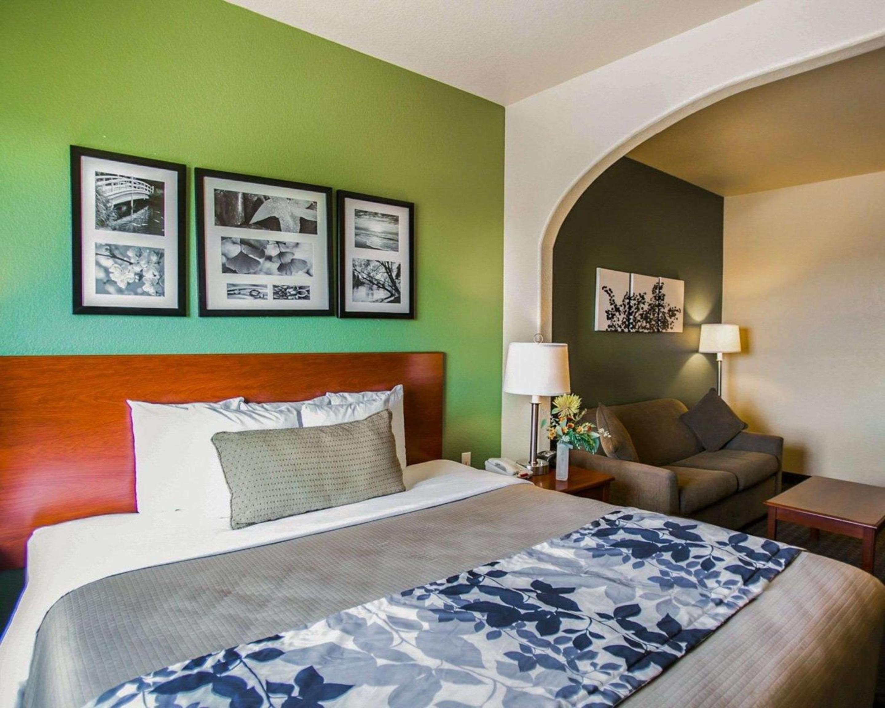 King Suite - Non-Smoking - Photo 3