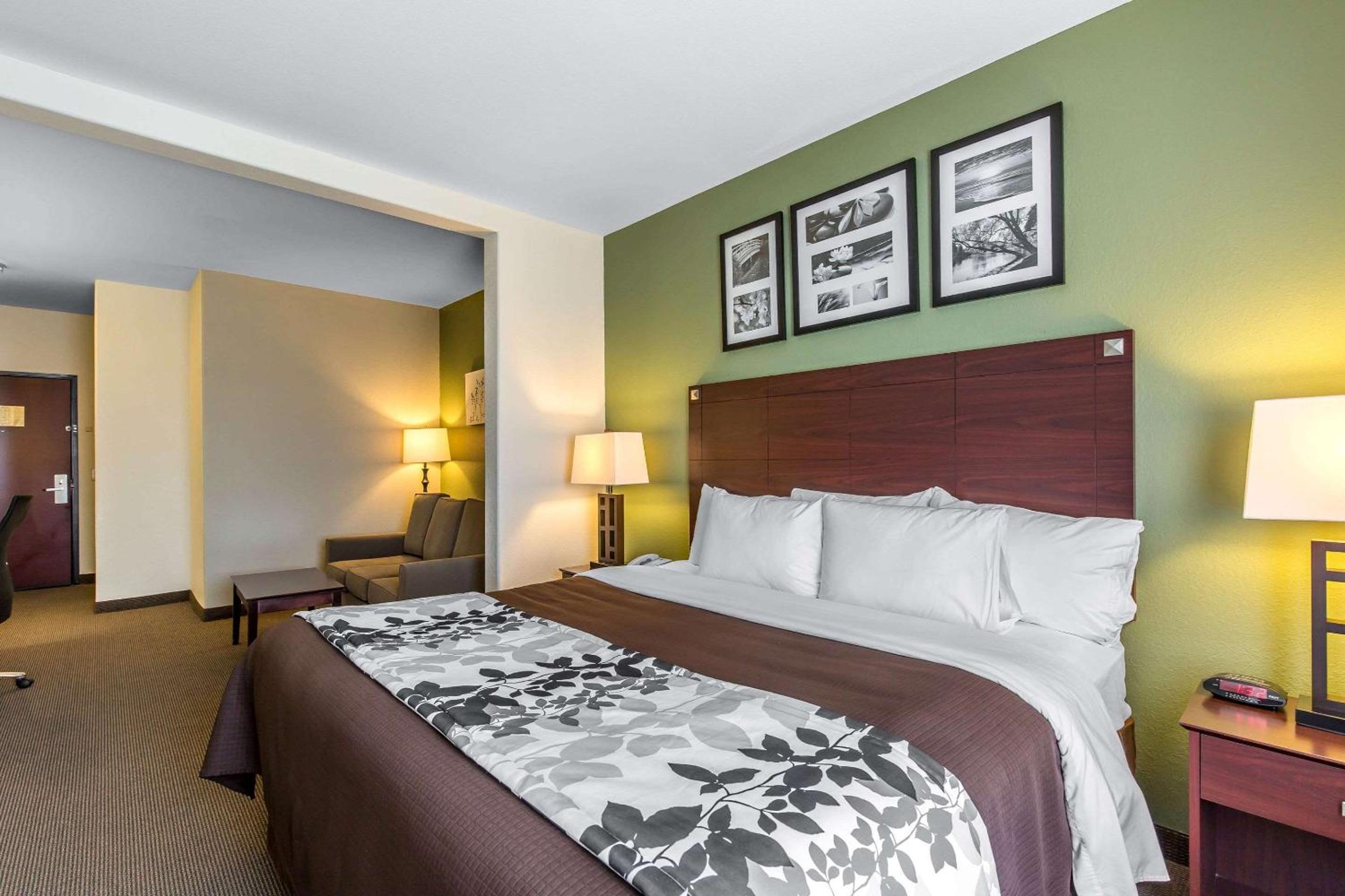 King Suite with Sofa Bed - Non Smoking - Photo 3
