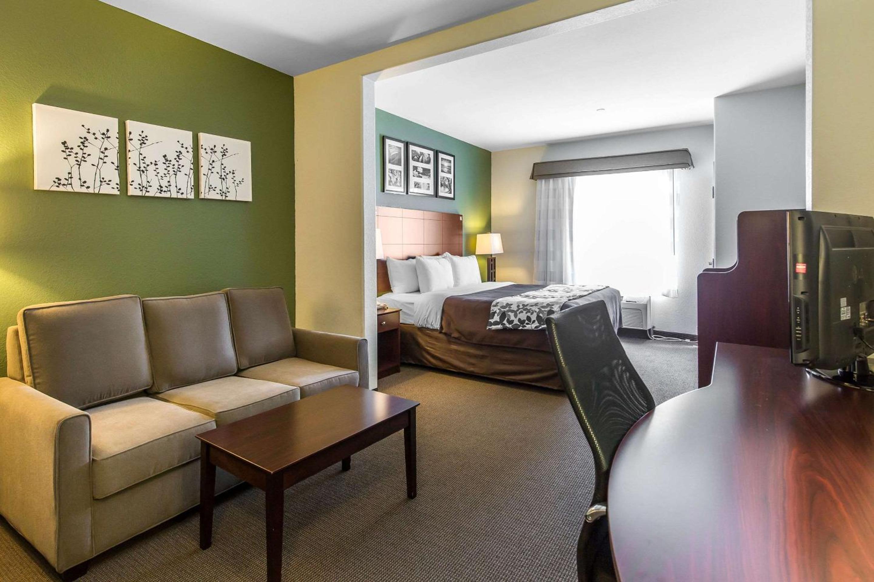 King Suite with Sofa Bed - Non Smoking - Photo 4