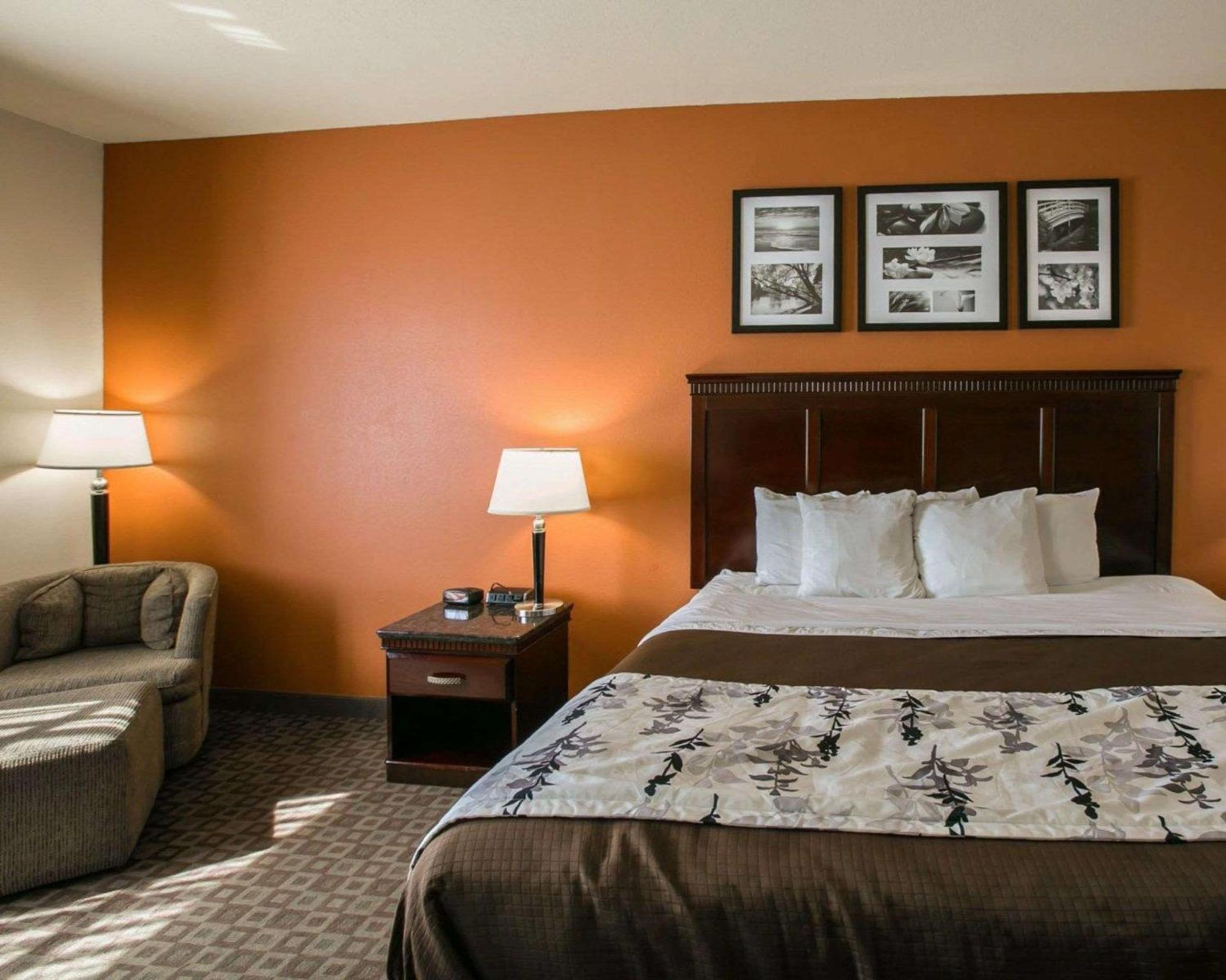 King Room - Non-Smoking - Photo 6