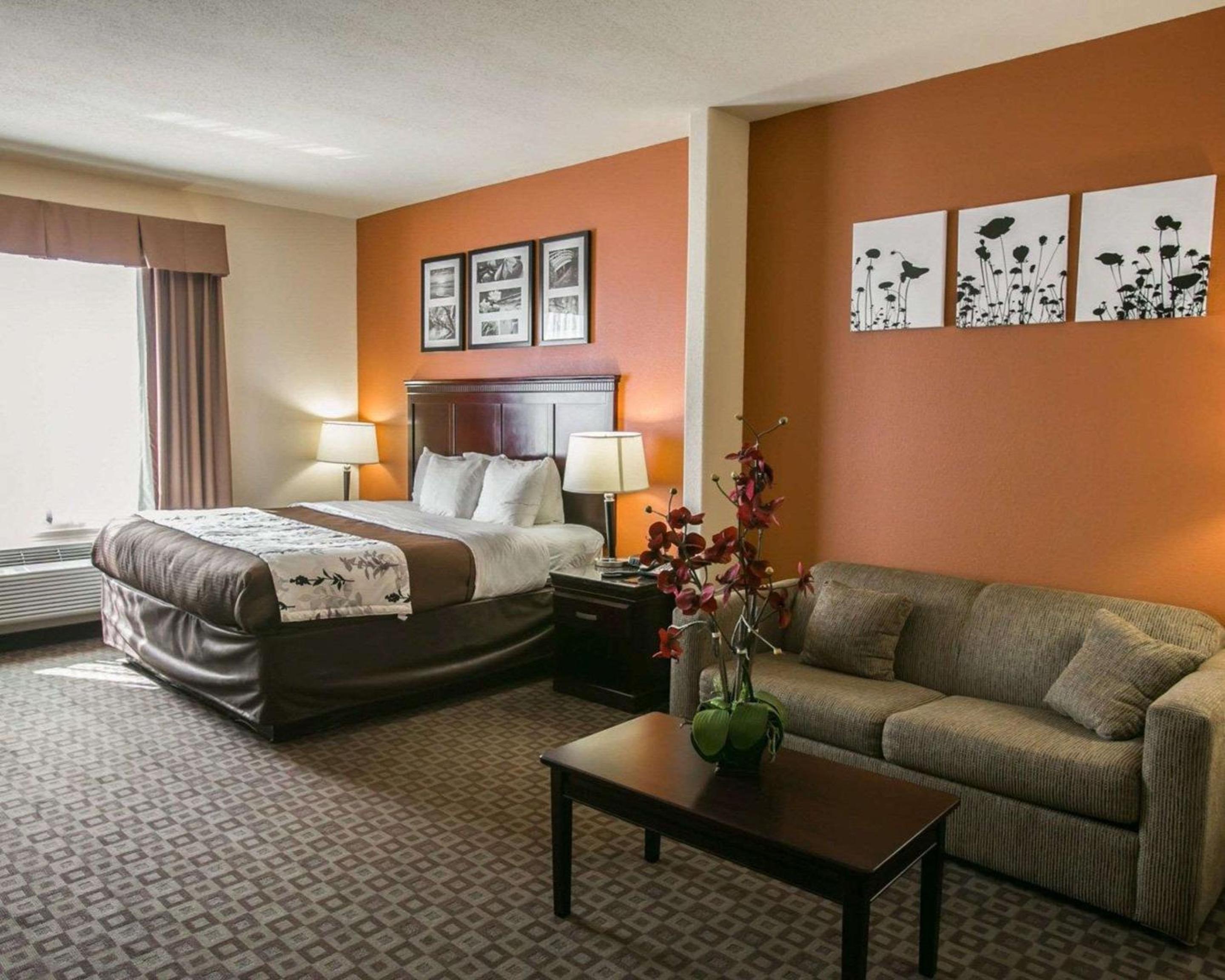 King Suite - Non-Smoking - Photo 9