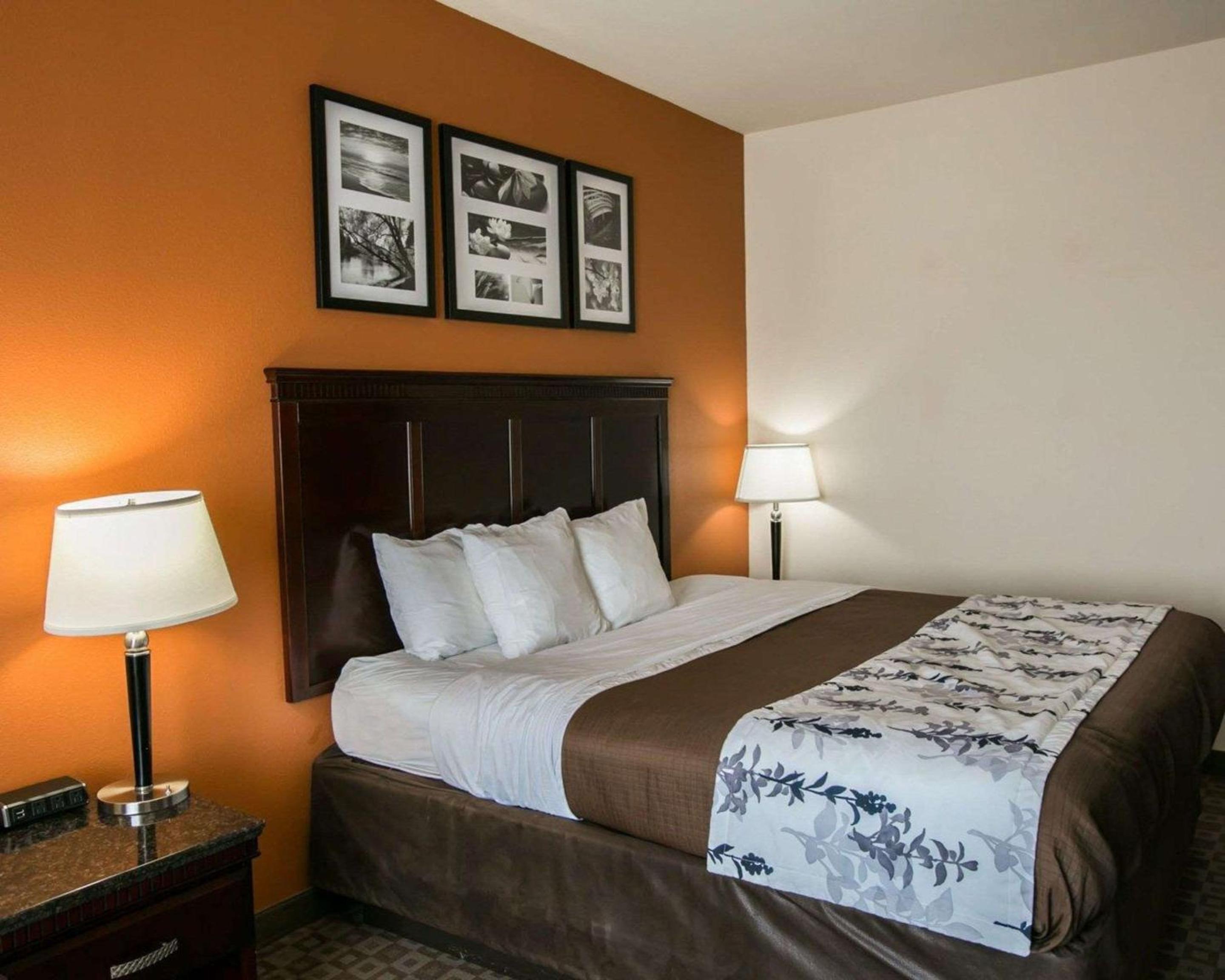 King Room - Non-Smoking - Photo 4