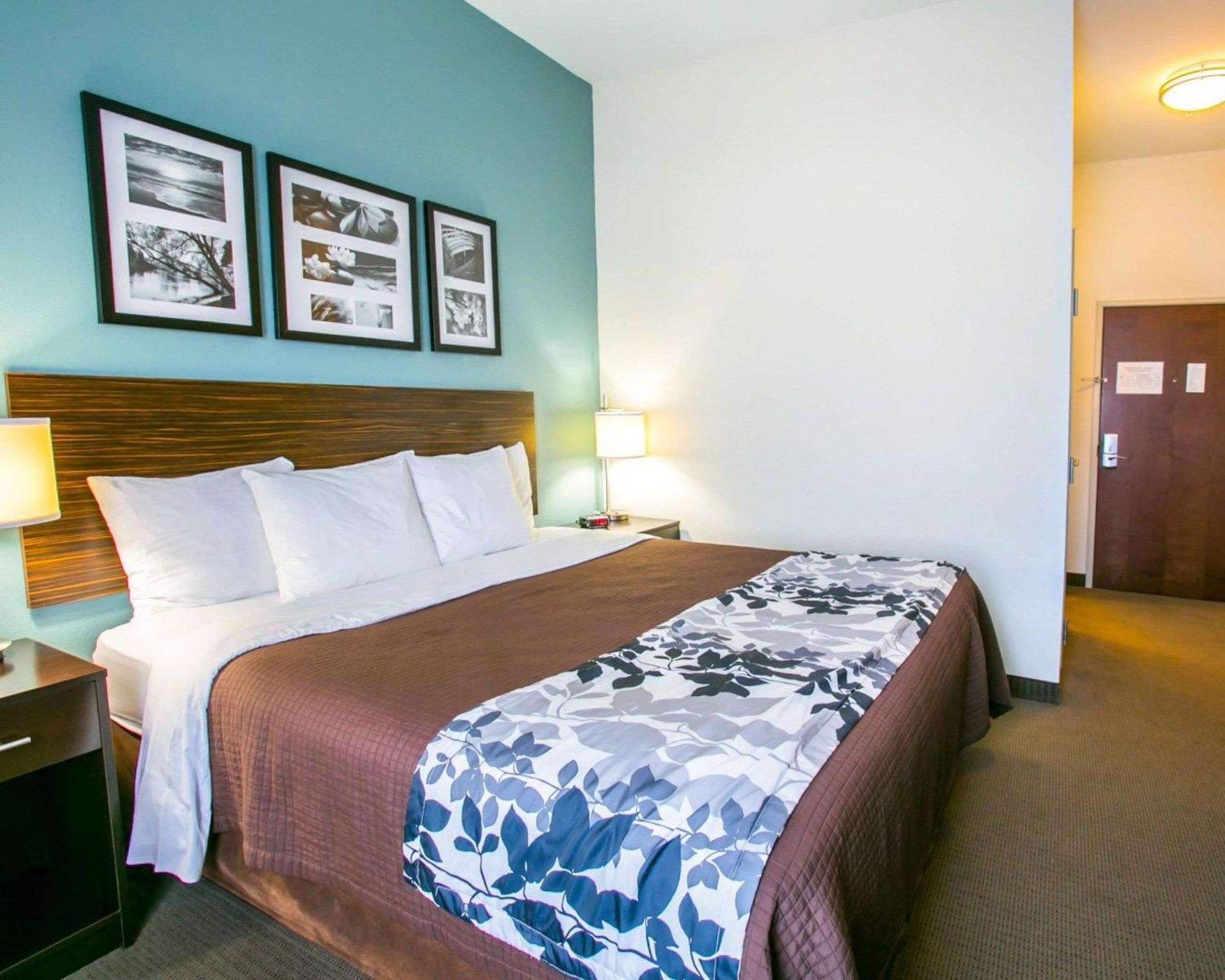 King Room - Non-Smoking - Photo 4