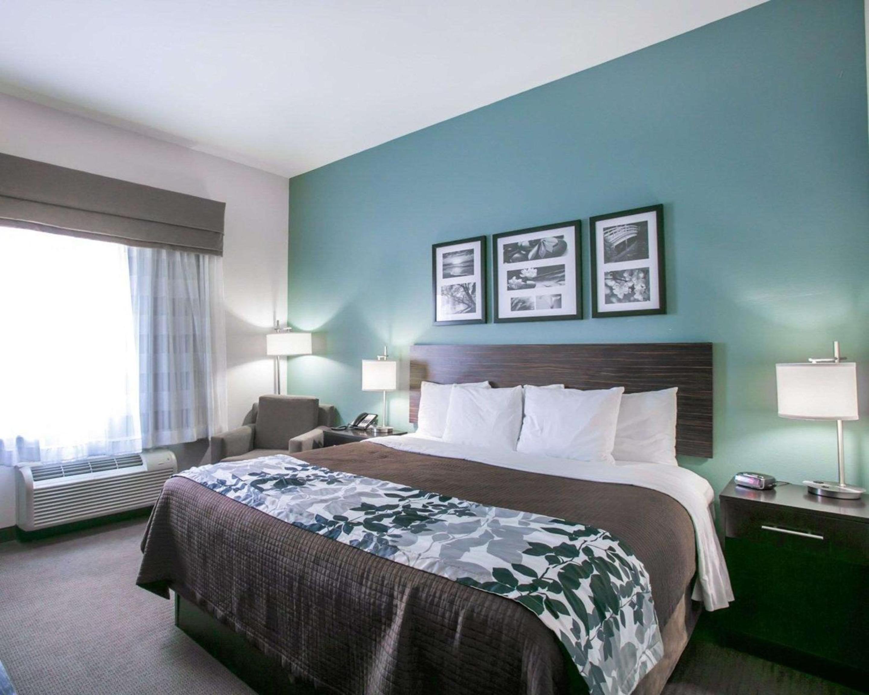 King Room - Non-Smoking - Photo 2