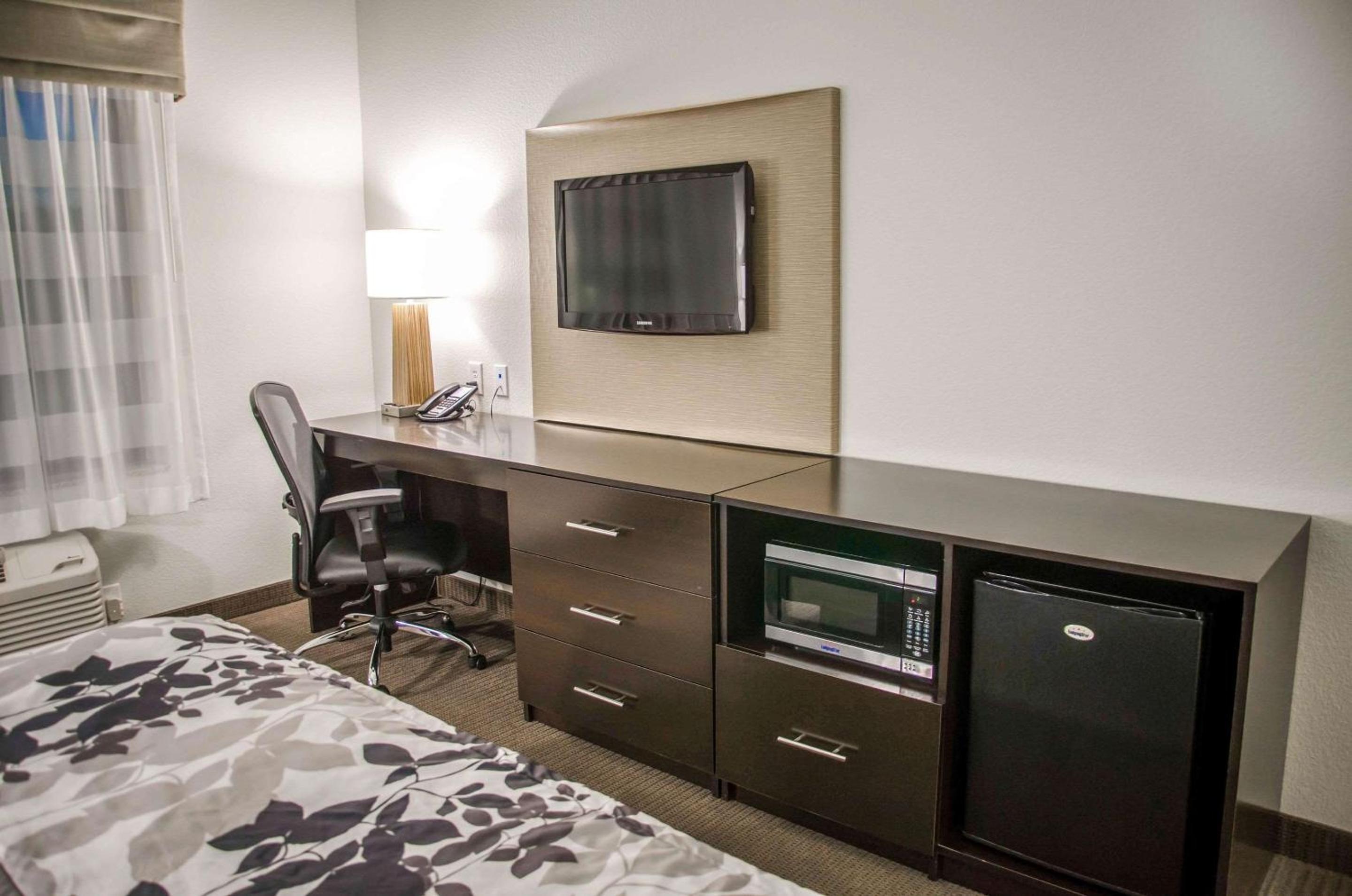 King Room - Non-Smoking - Photo 4