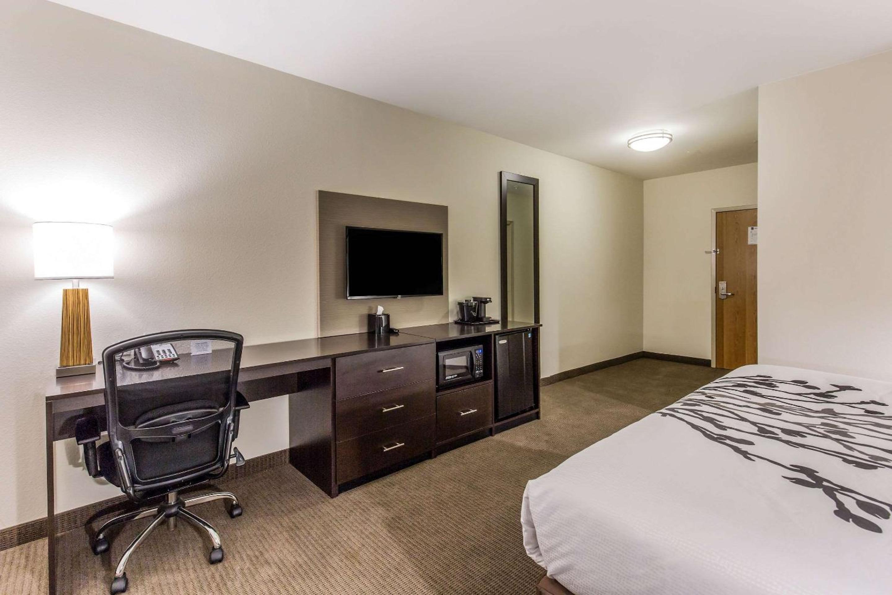 King Room - Non-Smoking photo 3