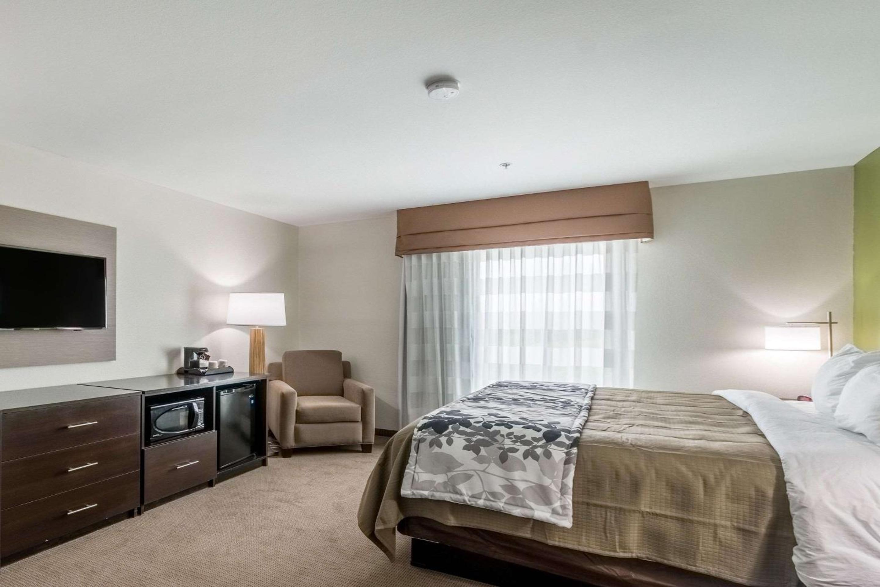 King Suite with Sofa Bed