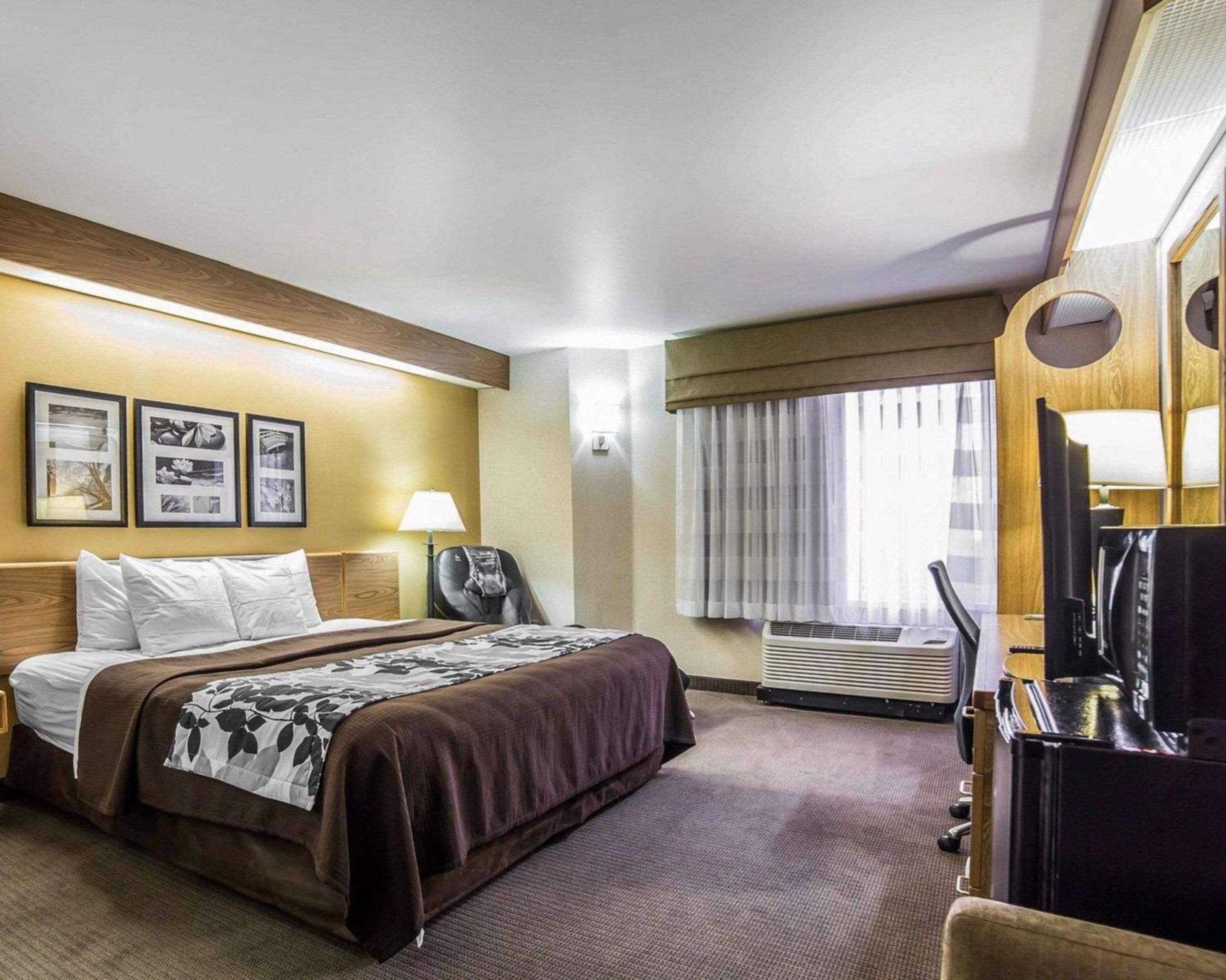 King Room - Non-Smoking - Photo 8