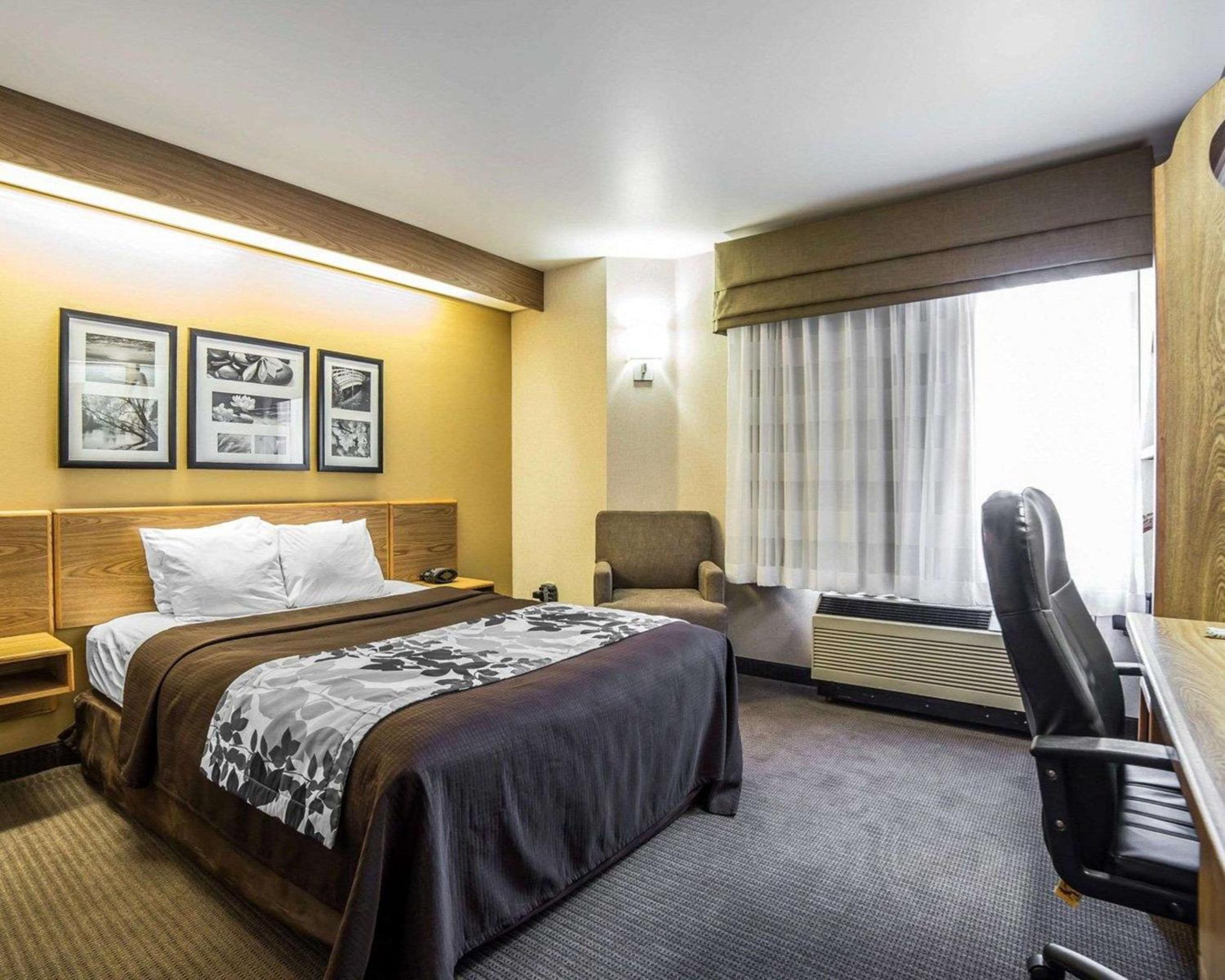 King Room - Non-Smoking - Photo 9