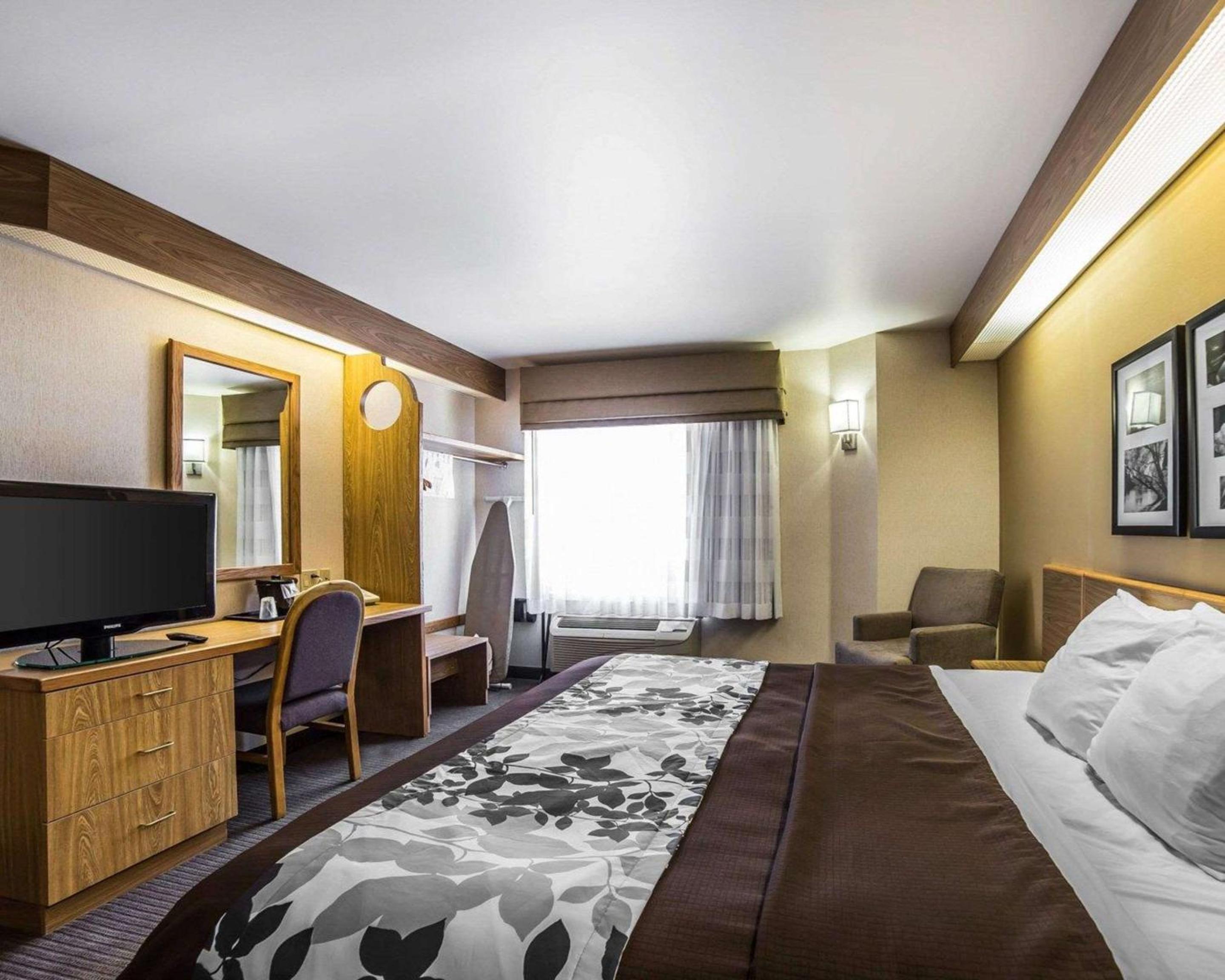 King Room - Non-Smoking - Photo 10