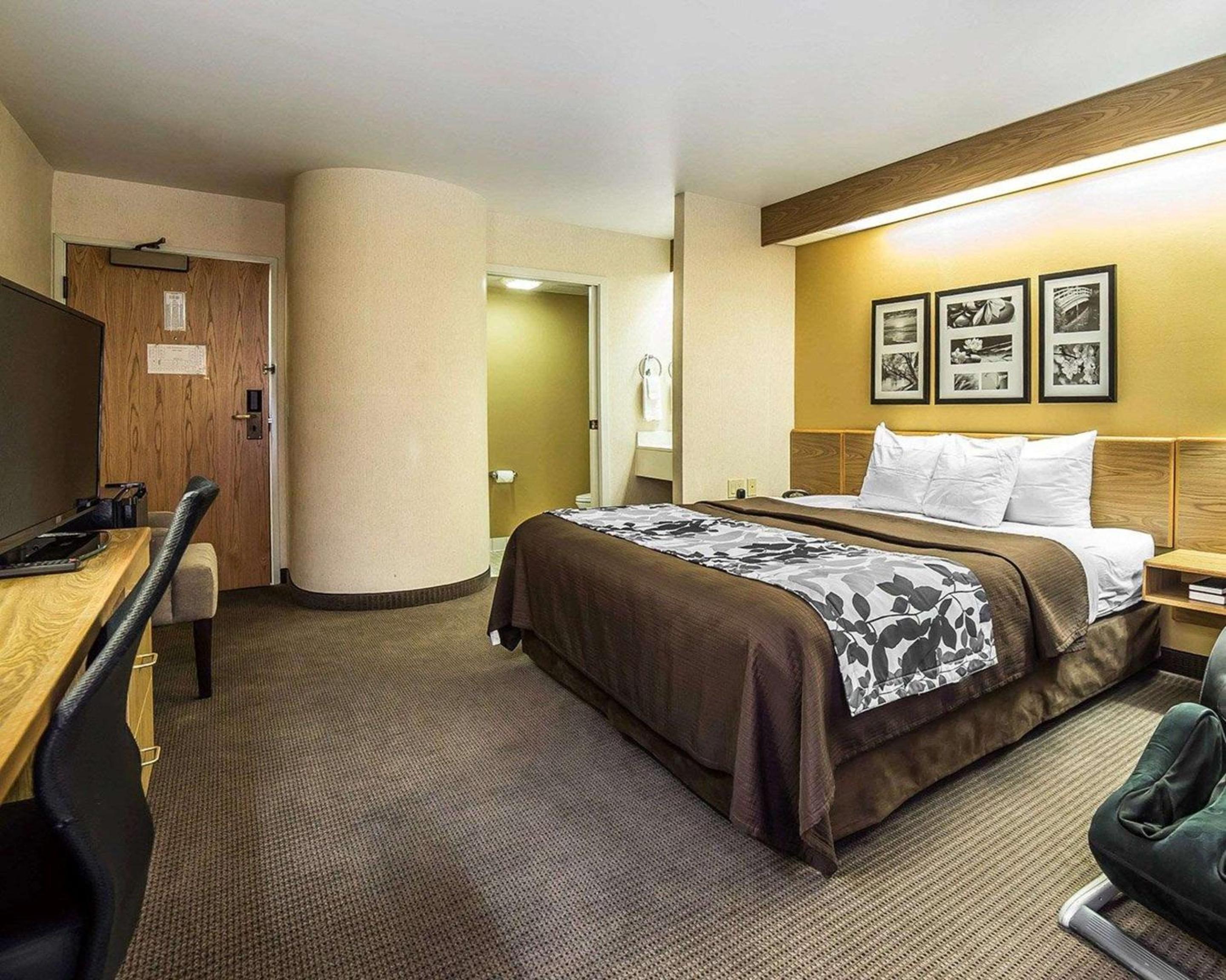 King Room - Non-Smoking - Photo 2