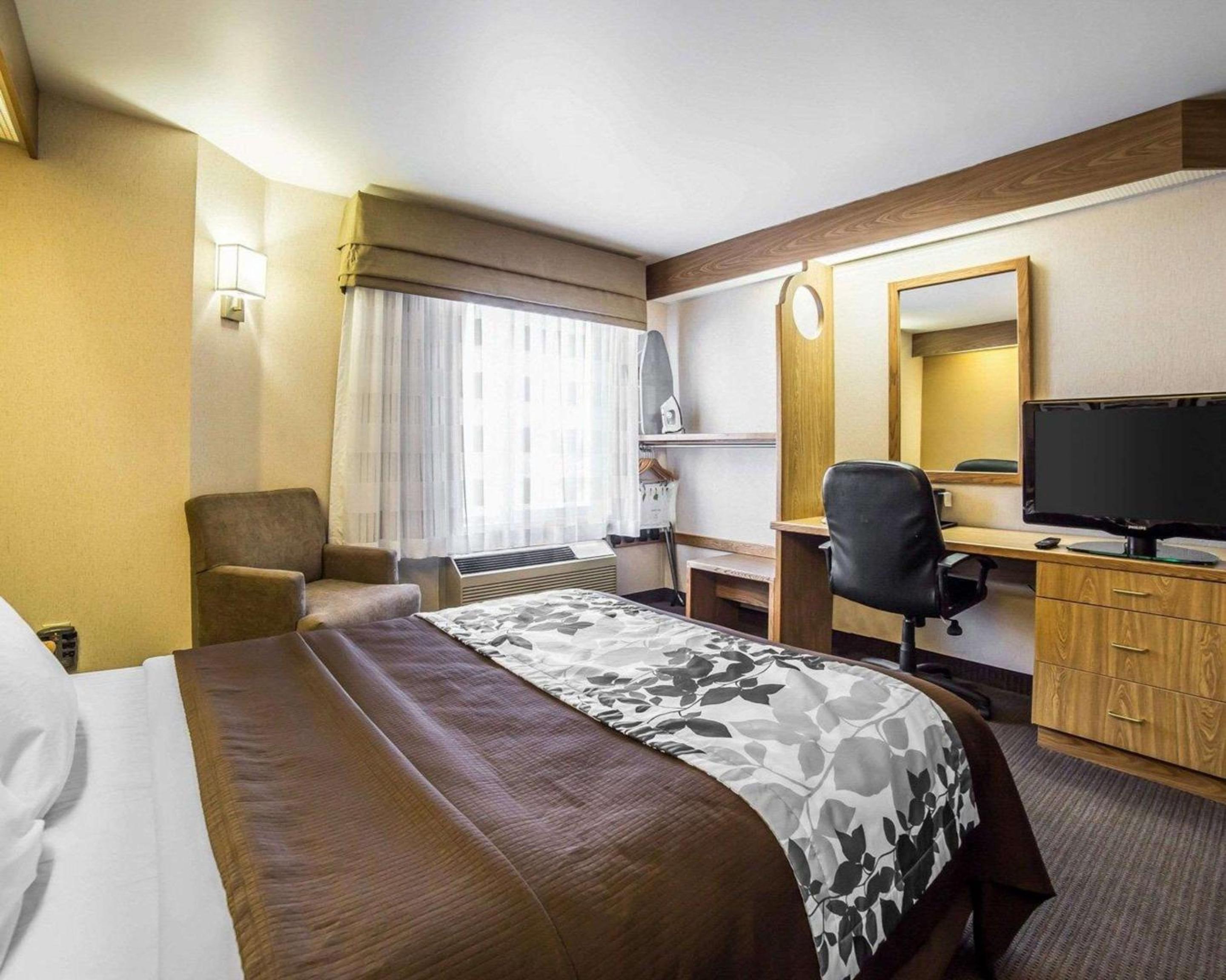King Room - Non-Smoking - Photo 3