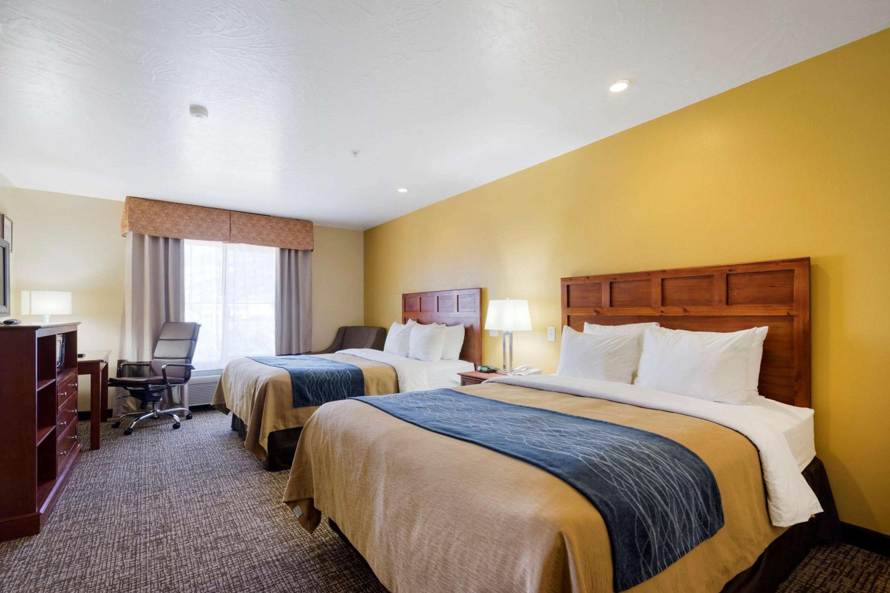 Queen Suite with Three Queen Beds photo 1