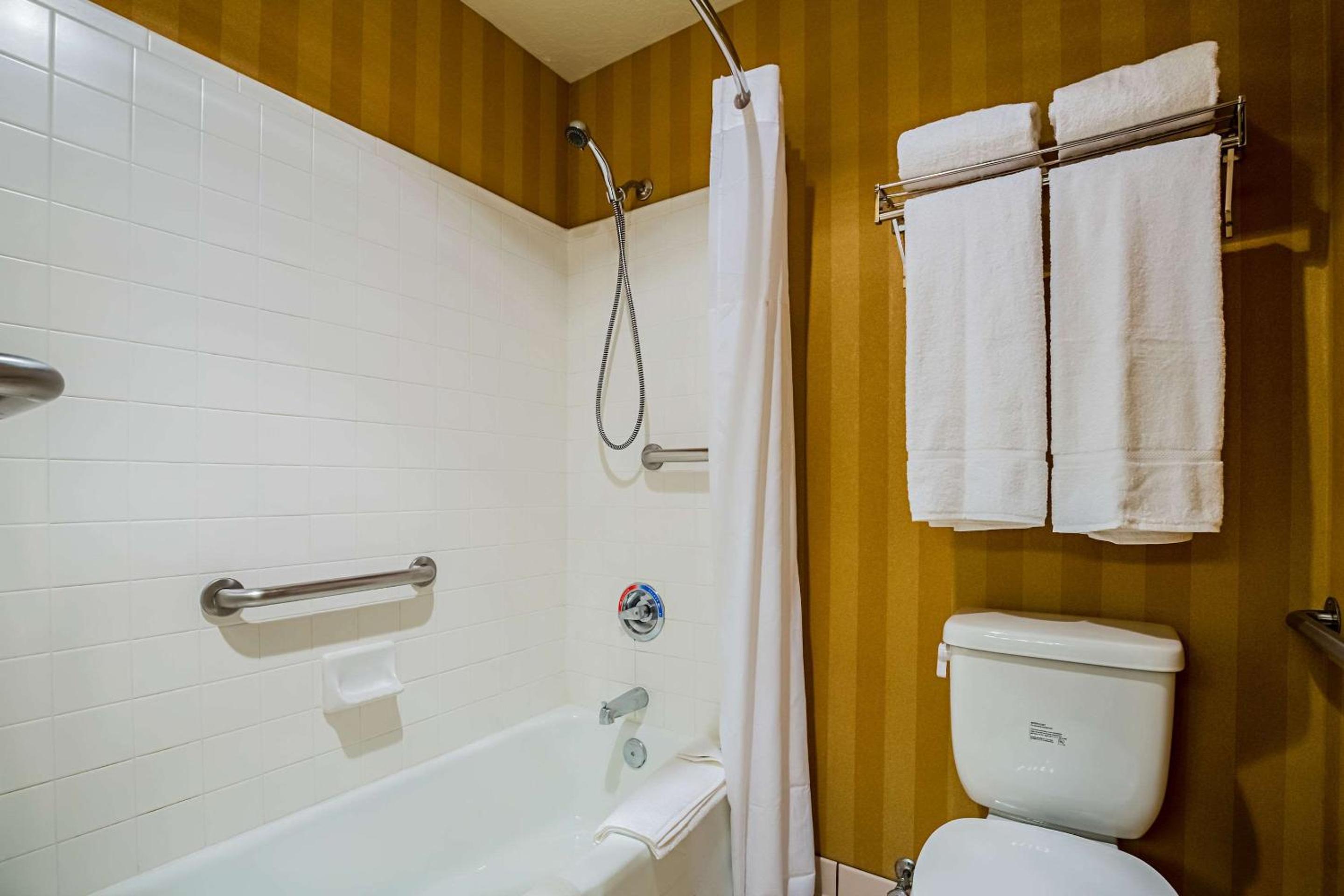 King Suite - Accessible/Non-Smoking photo 3
