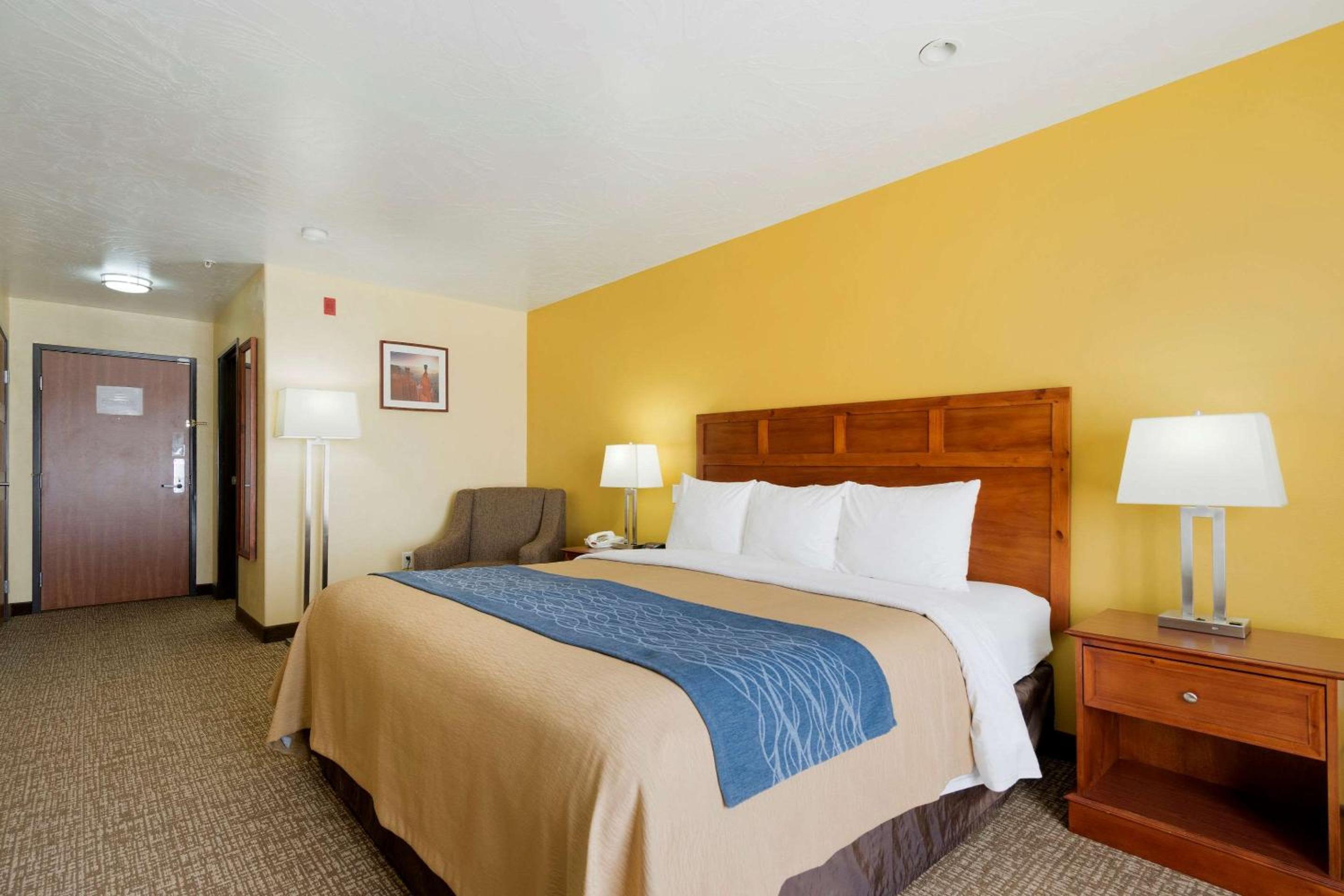 King Room photo 1