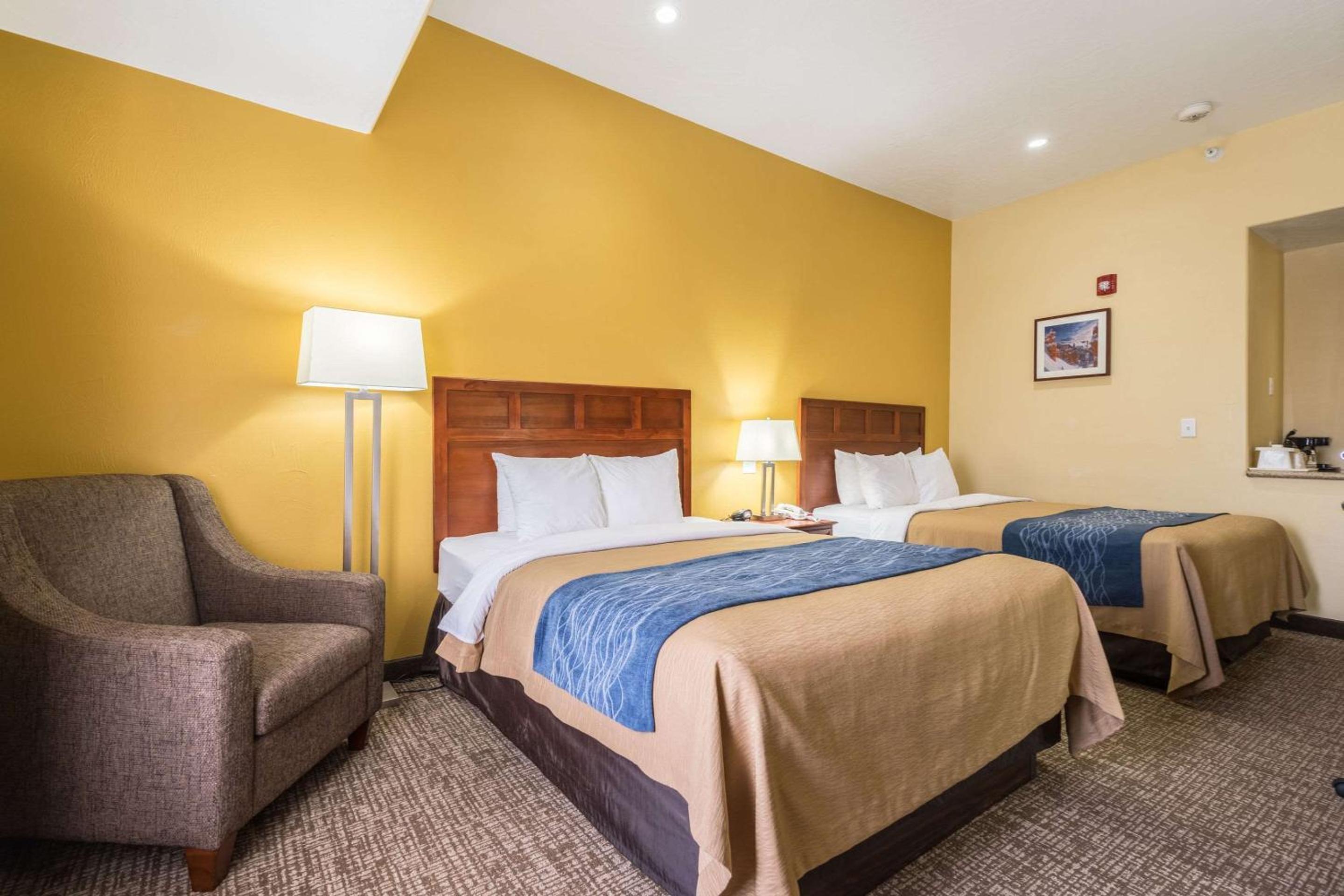 Queen Room with Two Queen Beds - Disability Access photo 1