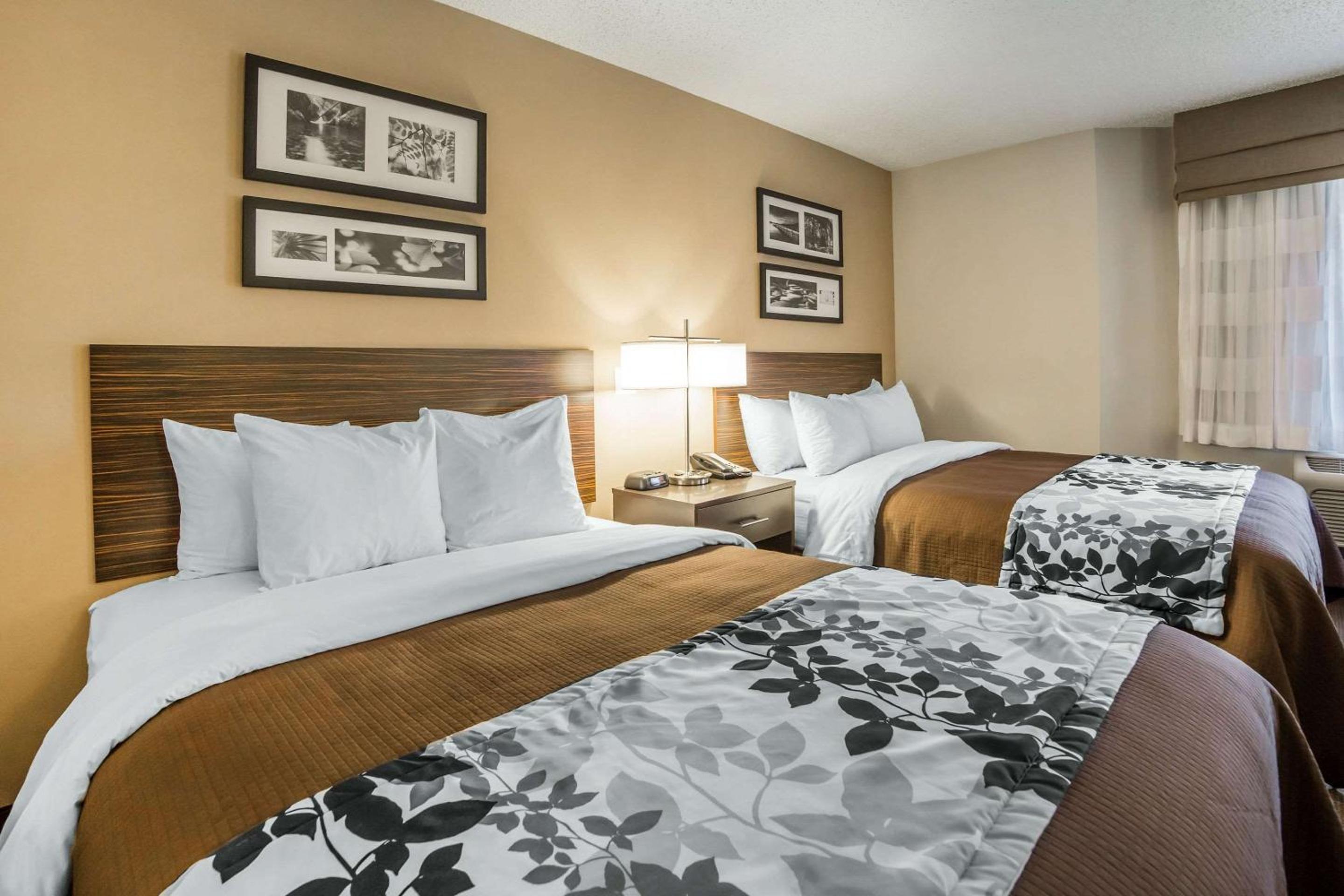 Queen Room with Two Queen Beds - Non-Smoking - Photo 4