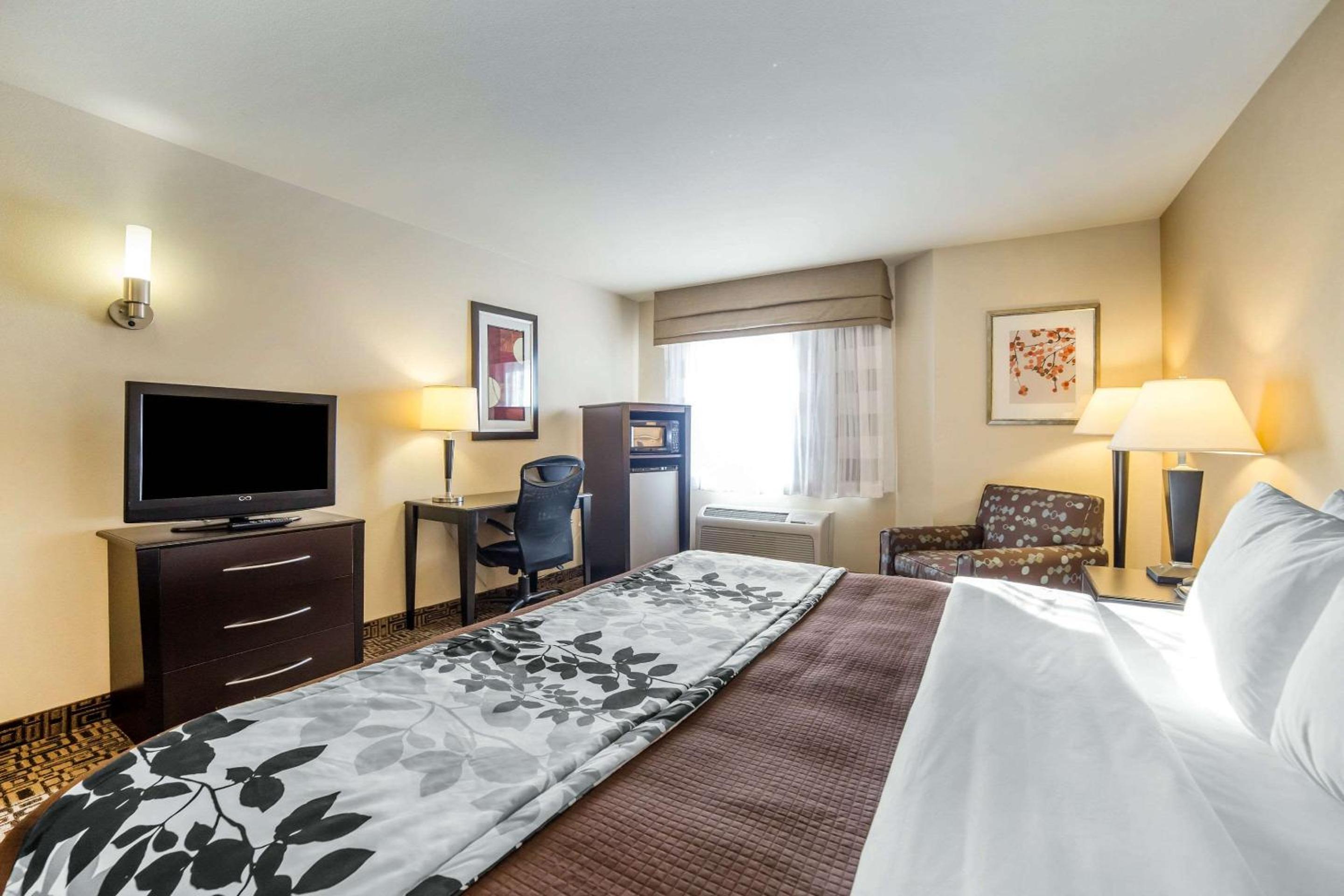 King Room - Non-Smoking - Photo 3