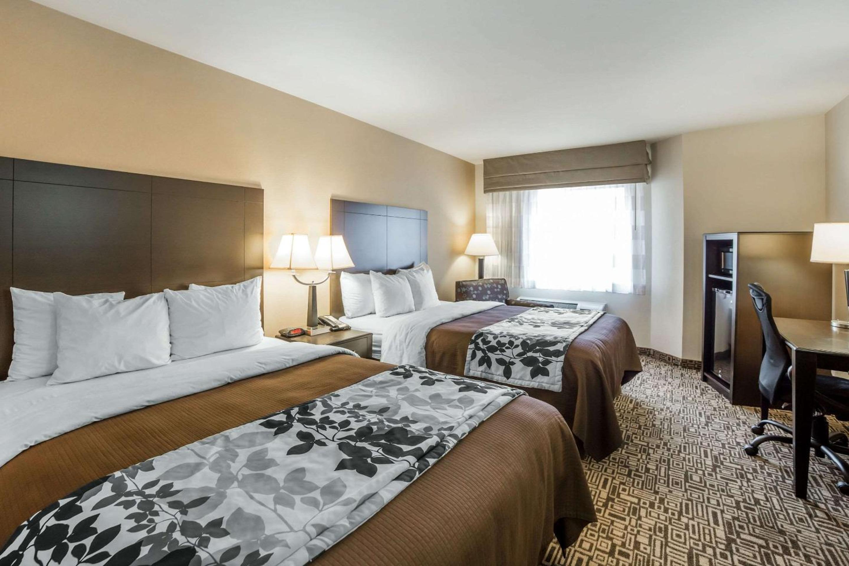 Standard Queen Room with Two Queen Beds - walk-in shower - nonsmoking - Photo 3