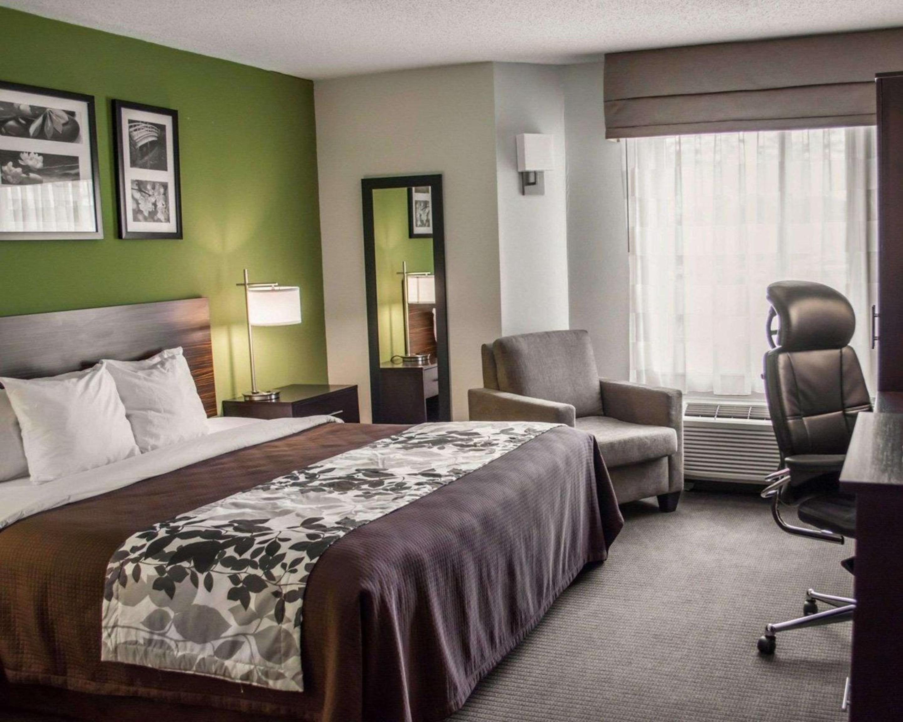 King Room - Non-Smoking - Photo 3