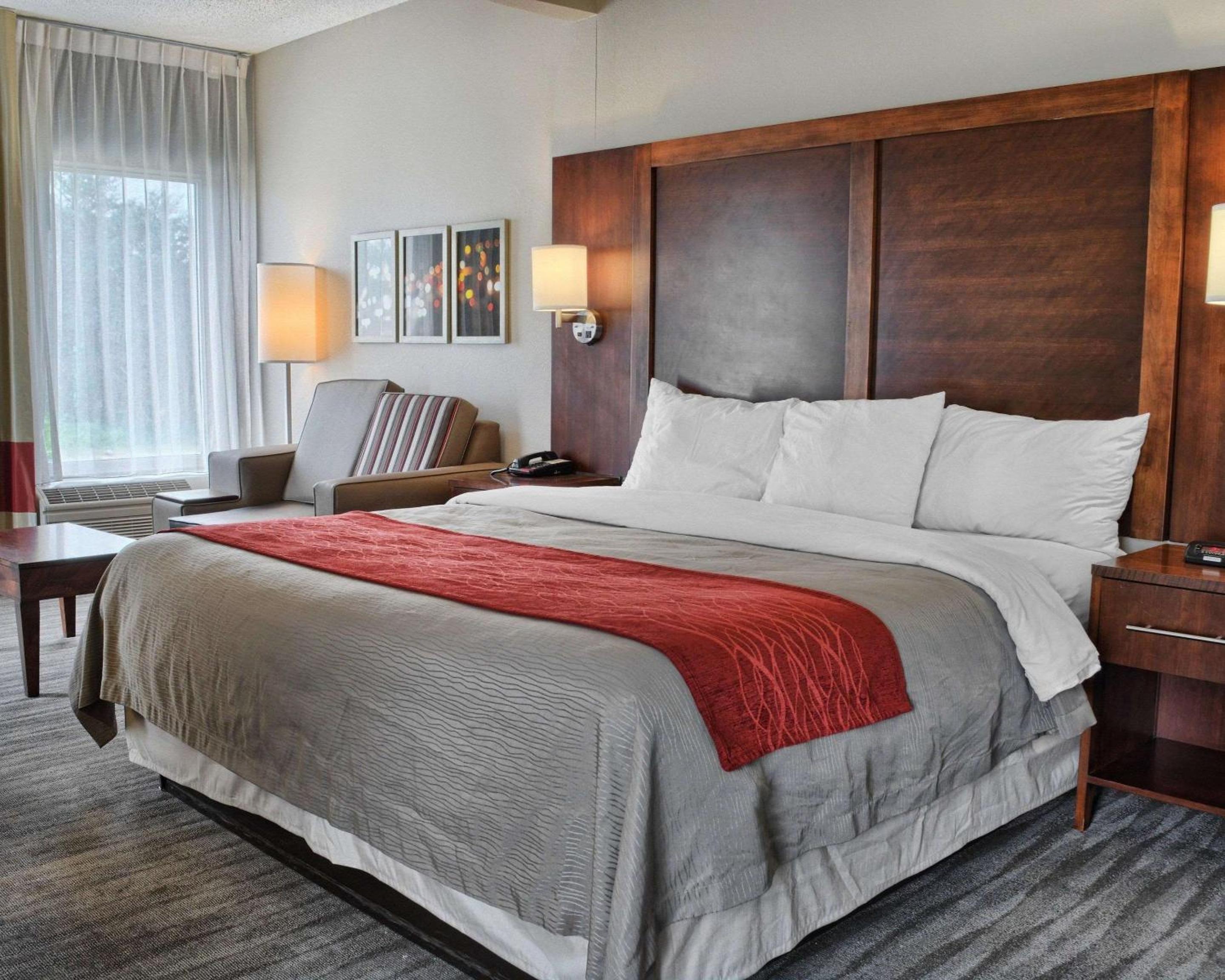 King Suite - Non-Smoking - Photo 1