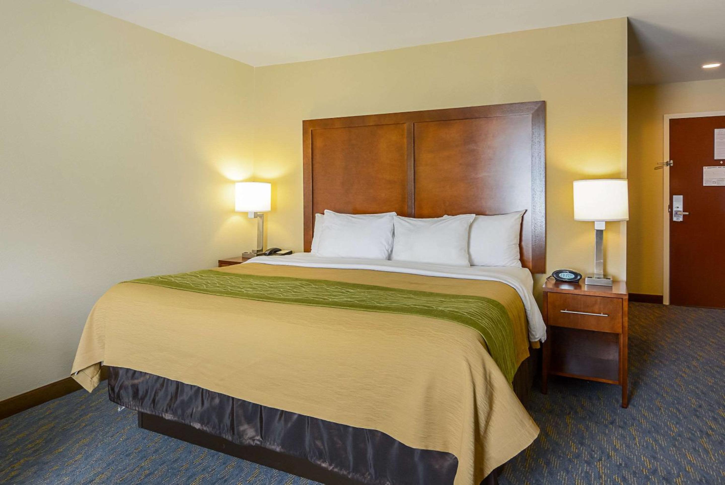 King Room - Photo 1