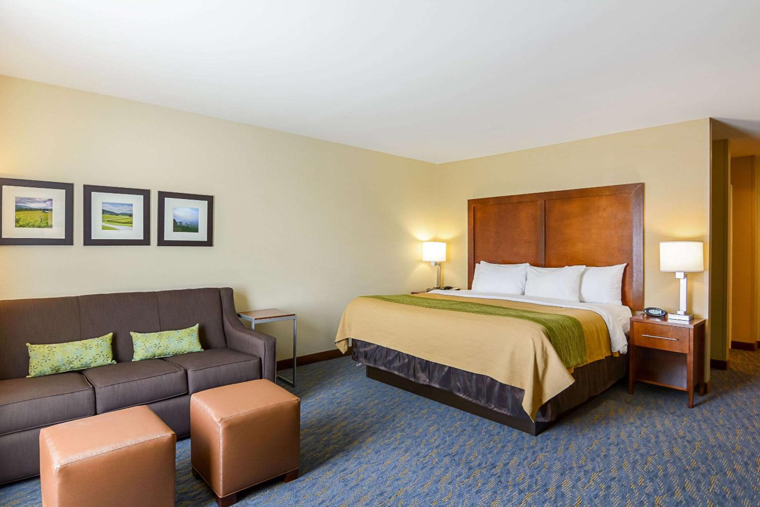 King Suite - Accessible/Non-Smoking - Photo 4