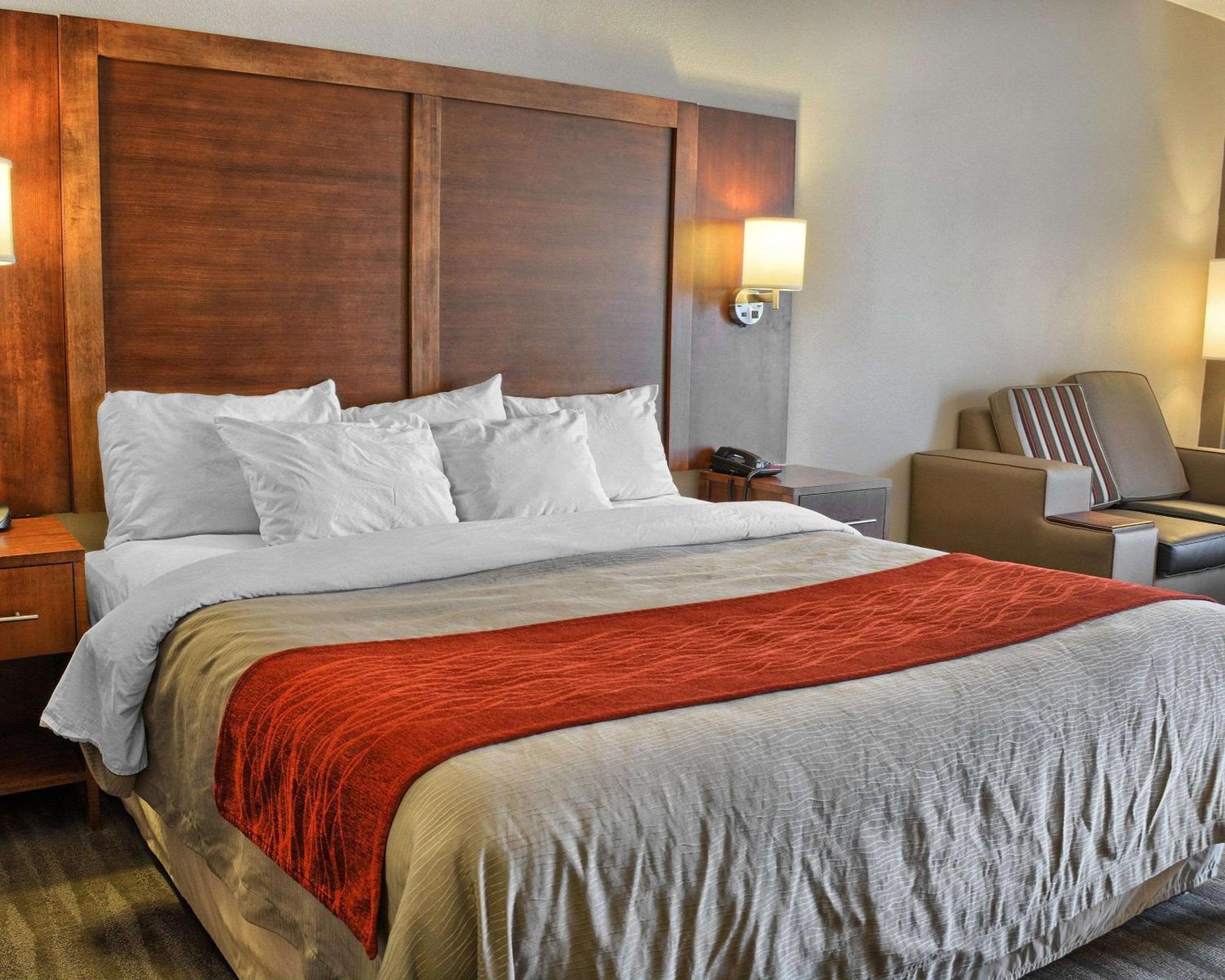 King Suite - Disability Access photo 1