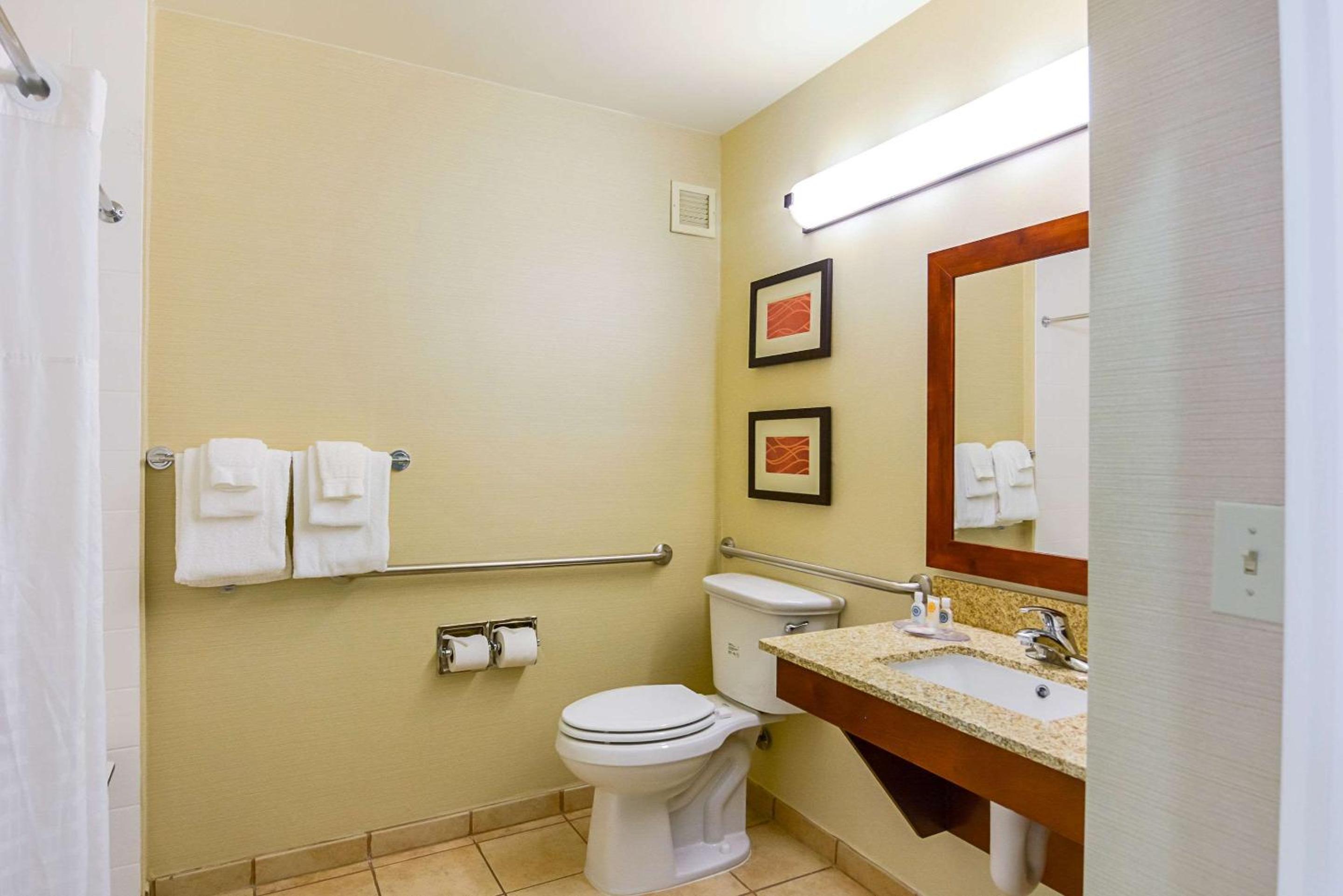 King Room with Roll in Shower - Mobility Accessible/Non-Smoking - Photo 4
