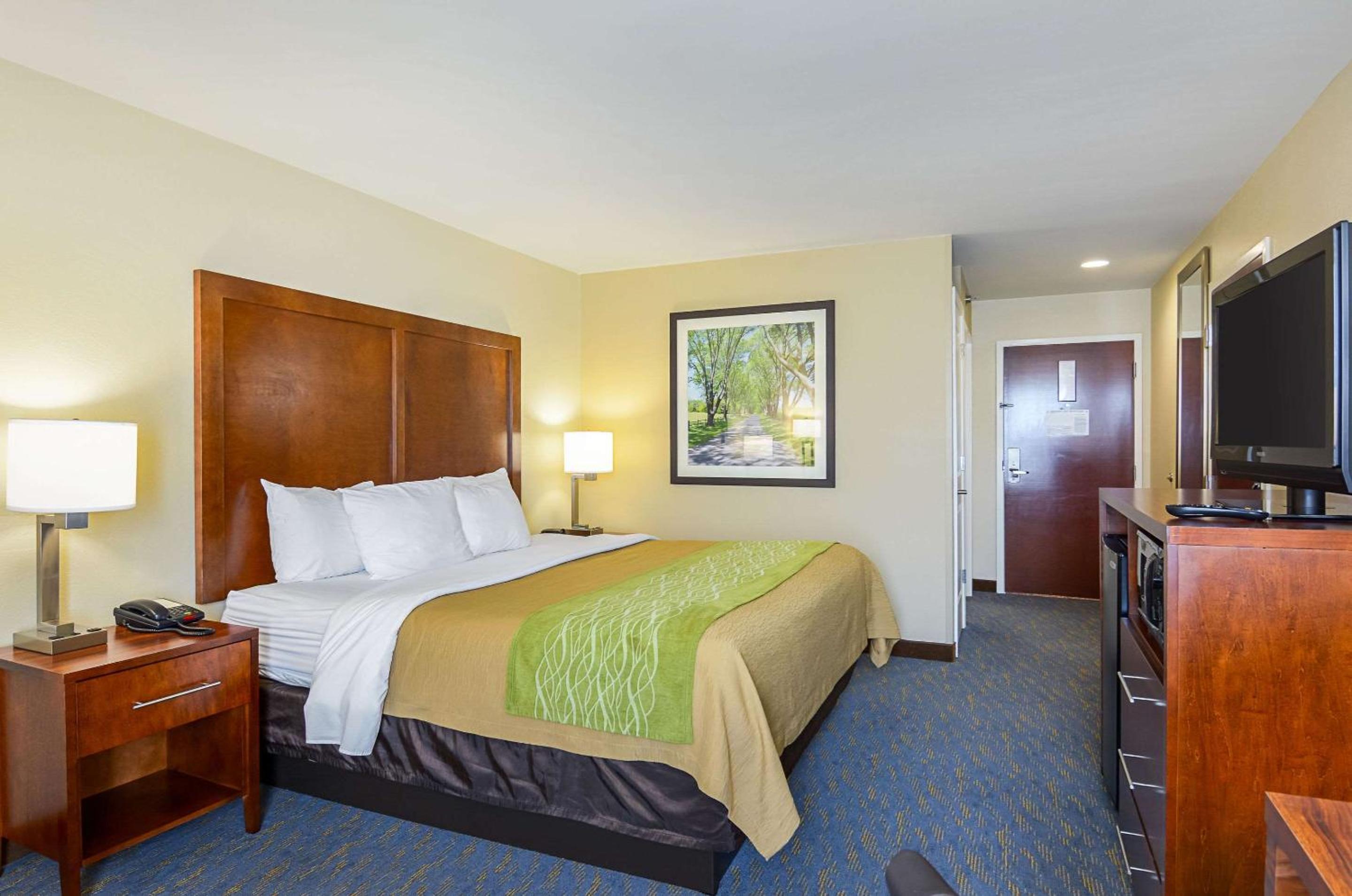 King Room - Photo 9