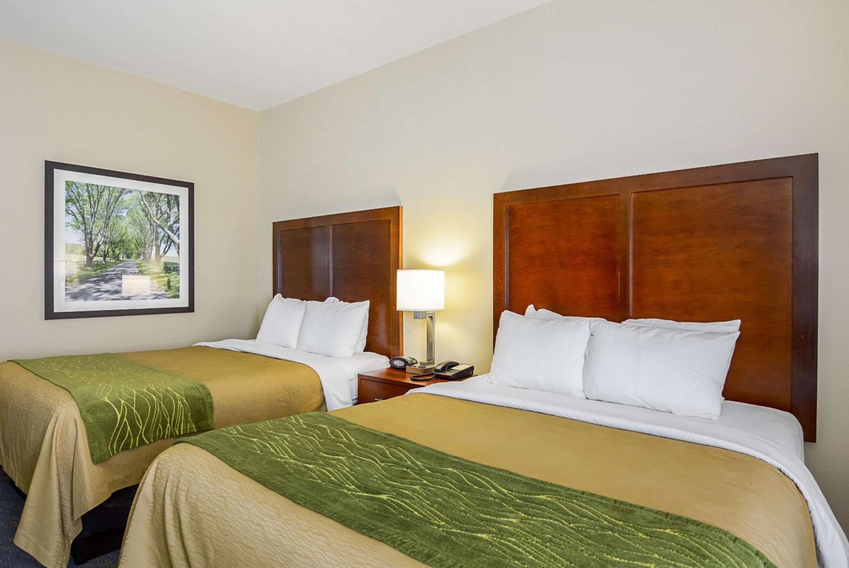 Queen Room with Two Queen Beds - Photo 5