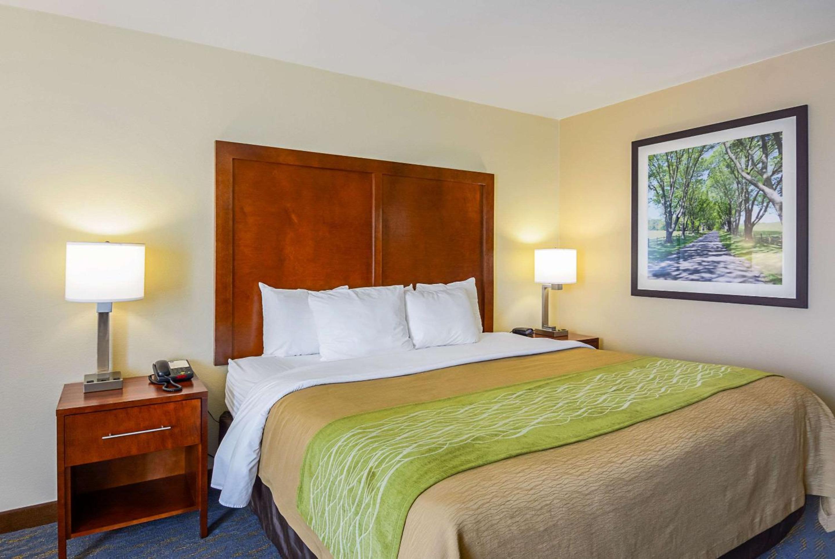 King Room - Photo 3