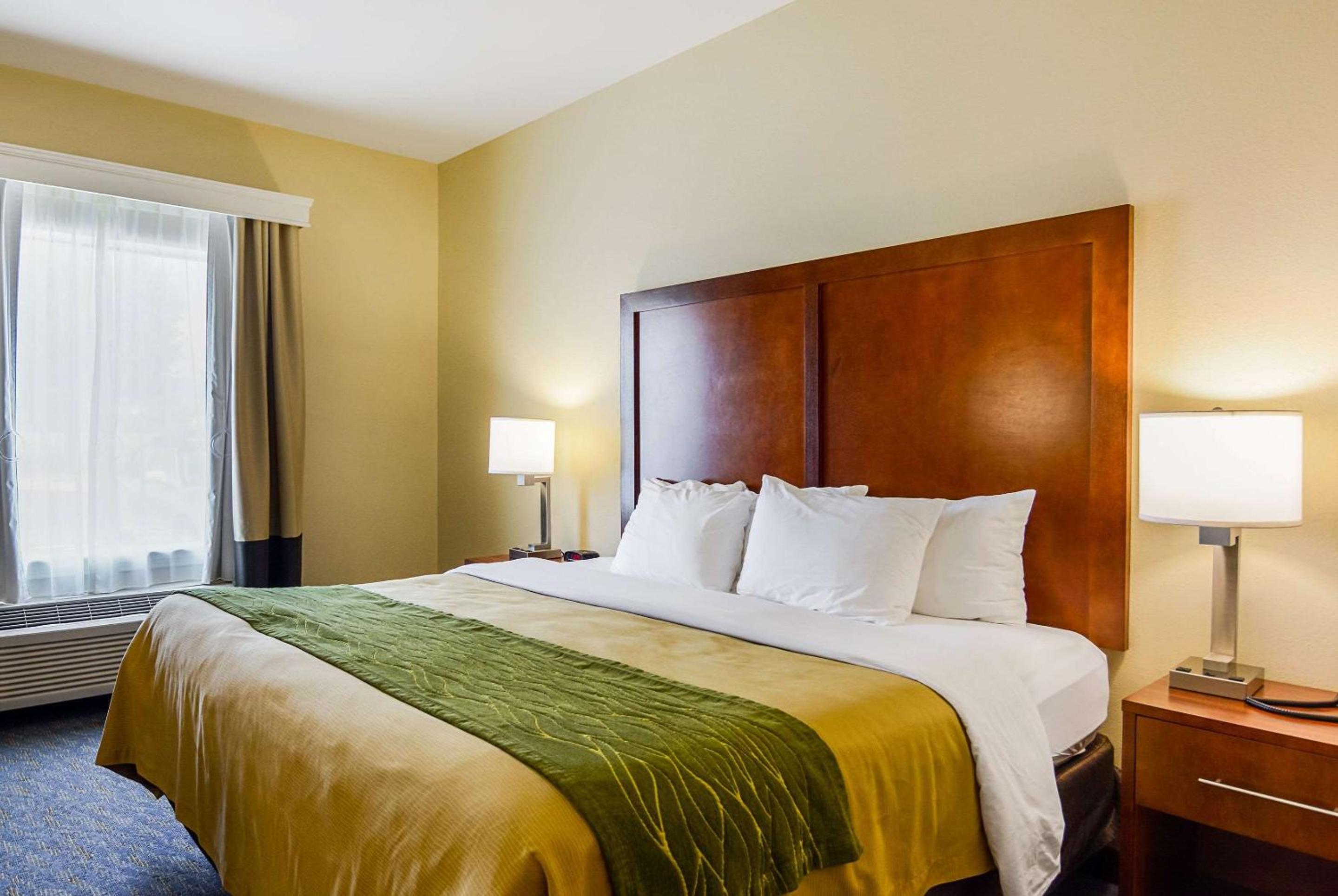 King Room - Photo 4