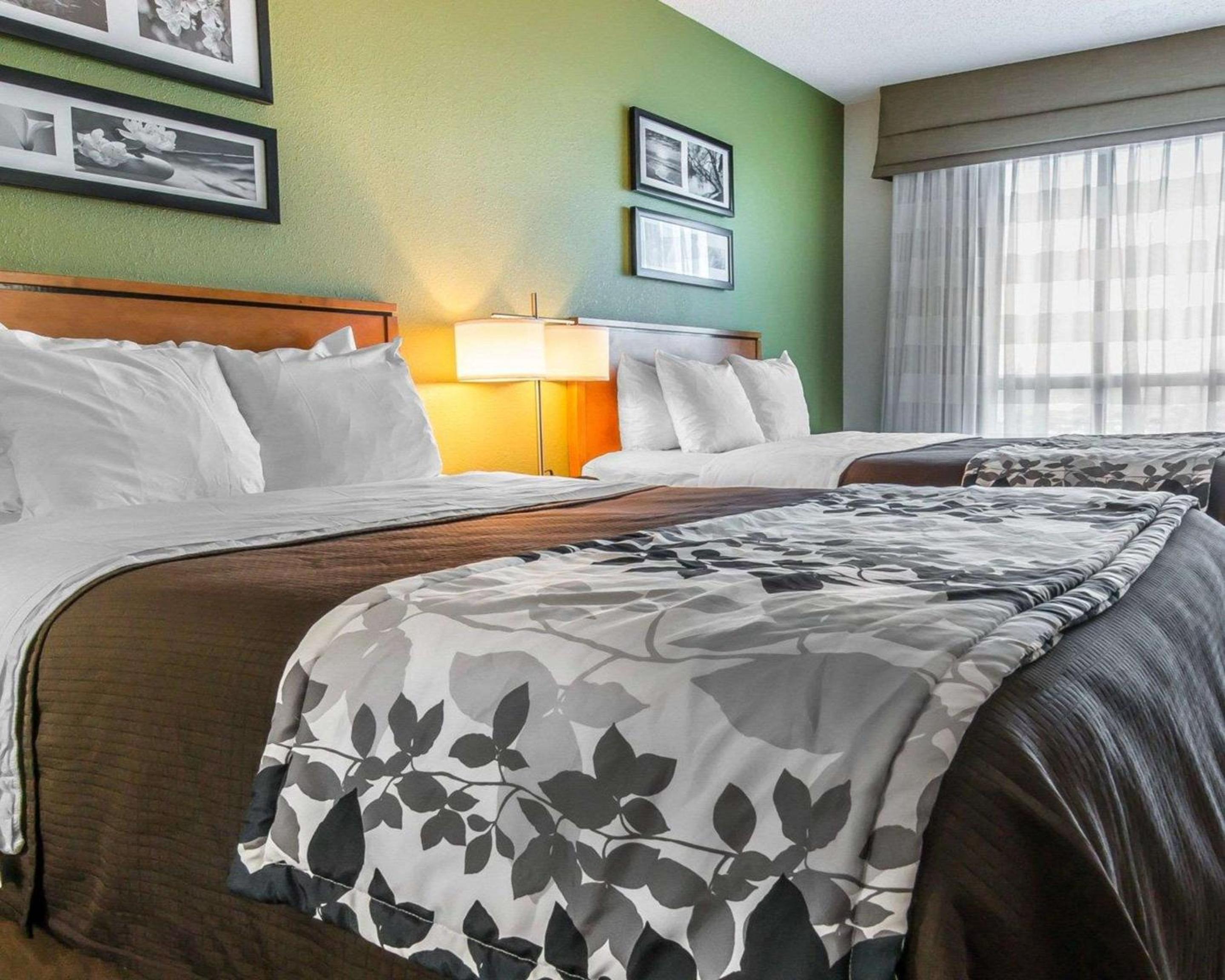 Standard Queen Room with Two Queen Beds- Non Smoking - Photo 1