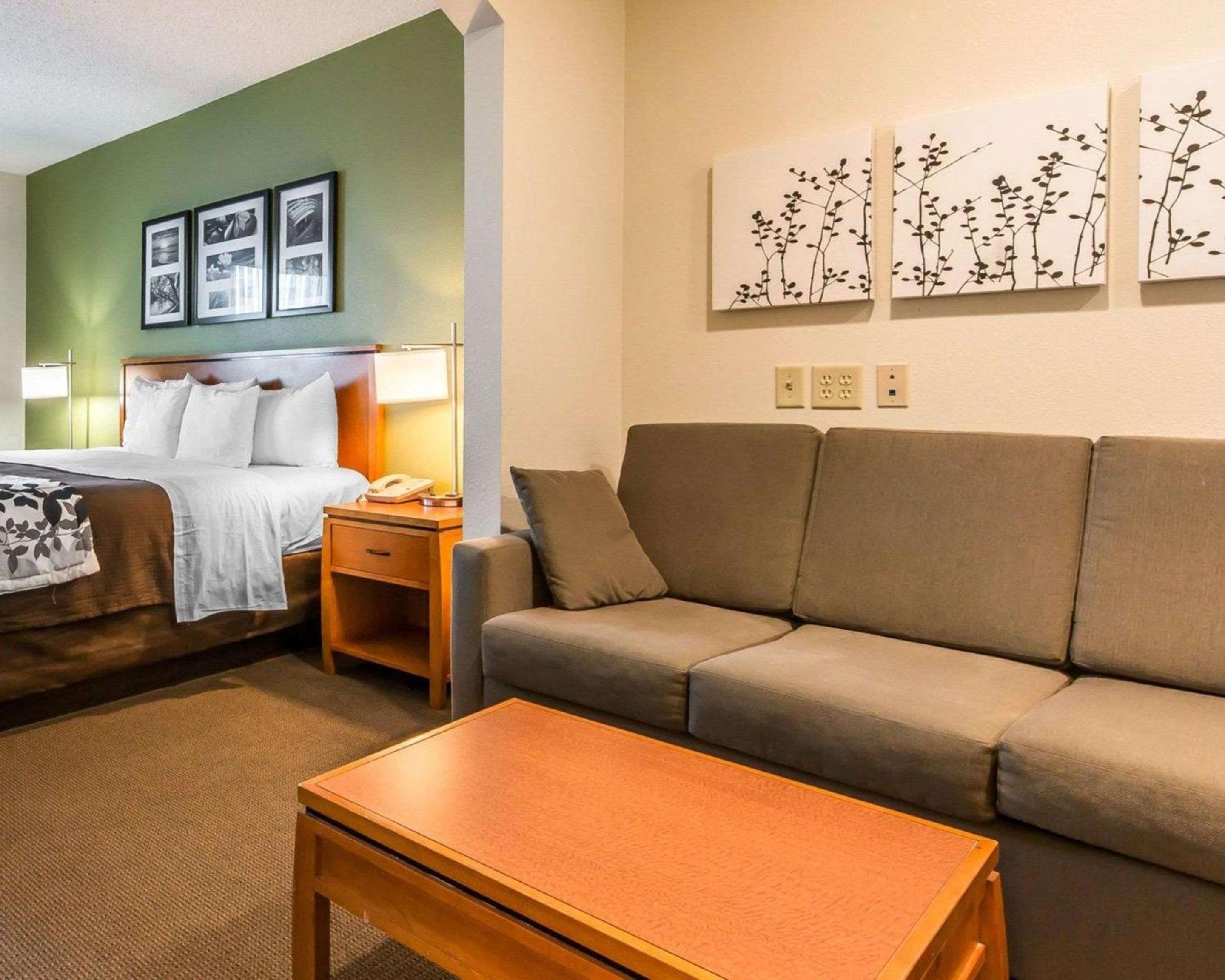 King Suite with Sofa Bed - Non-Smoking - Photo 1