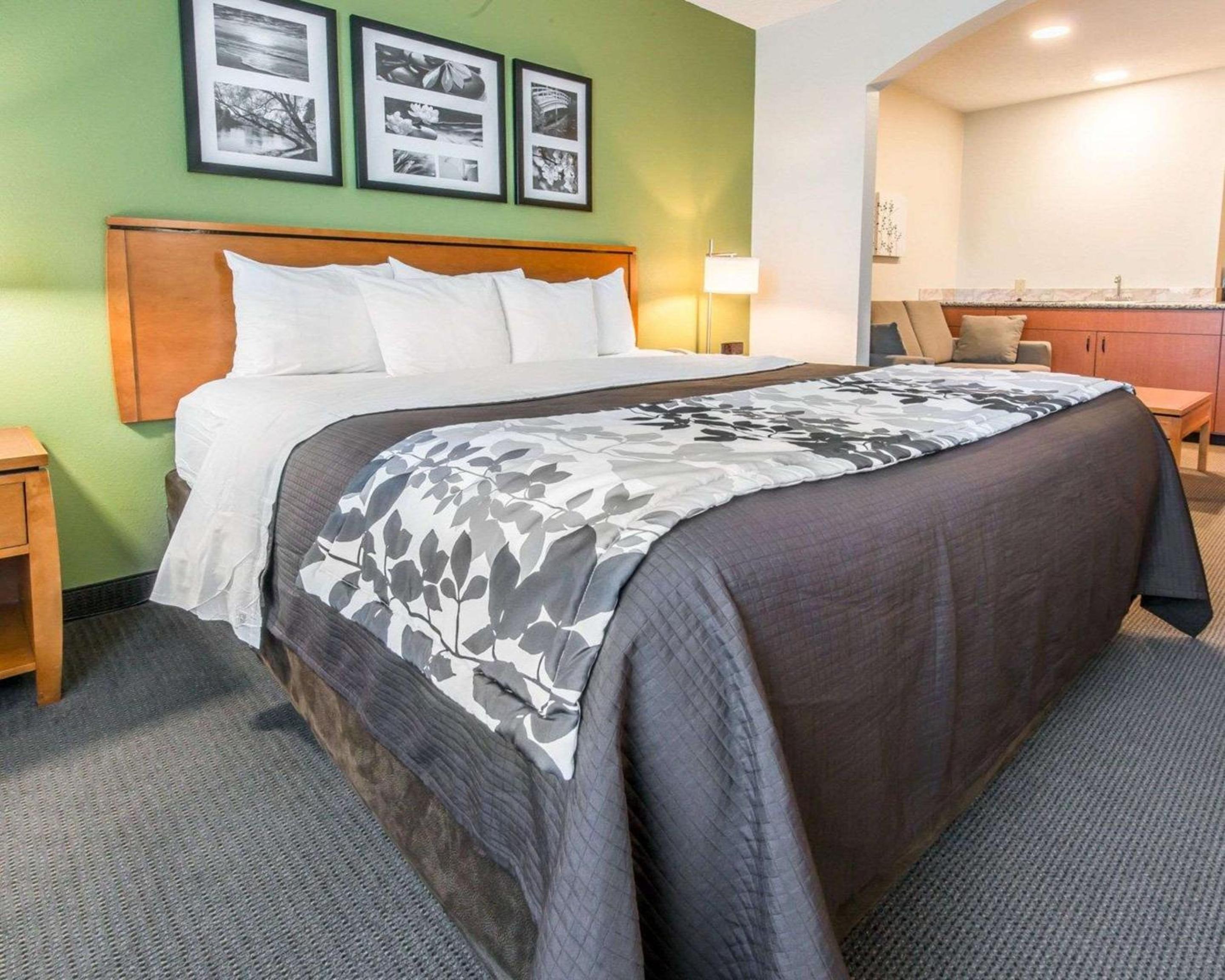 King Suite with Sofa Bed - Non-Smoking - Photo 3