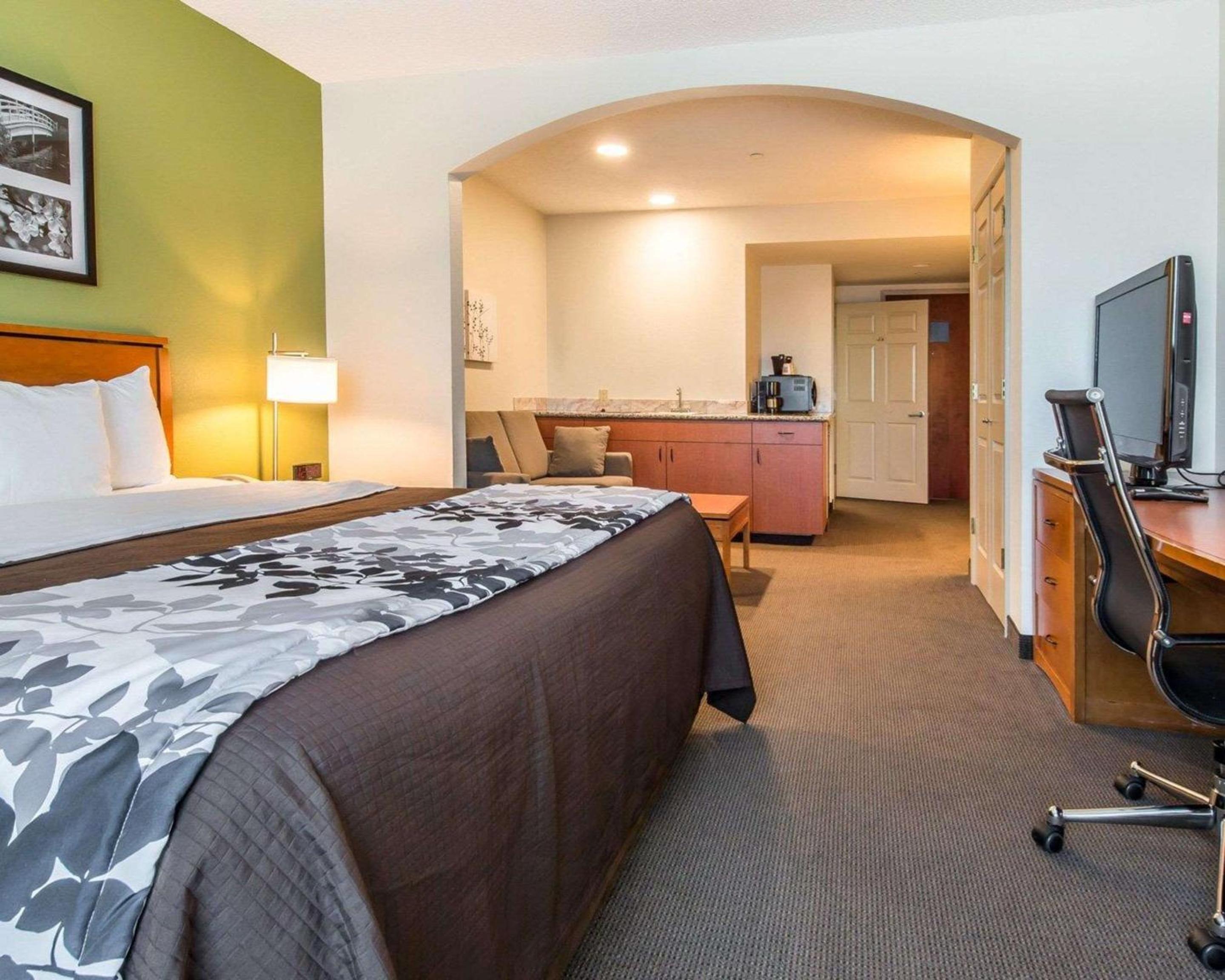 King Suite with Sofa Bed - Non-Smoking - Photo 4