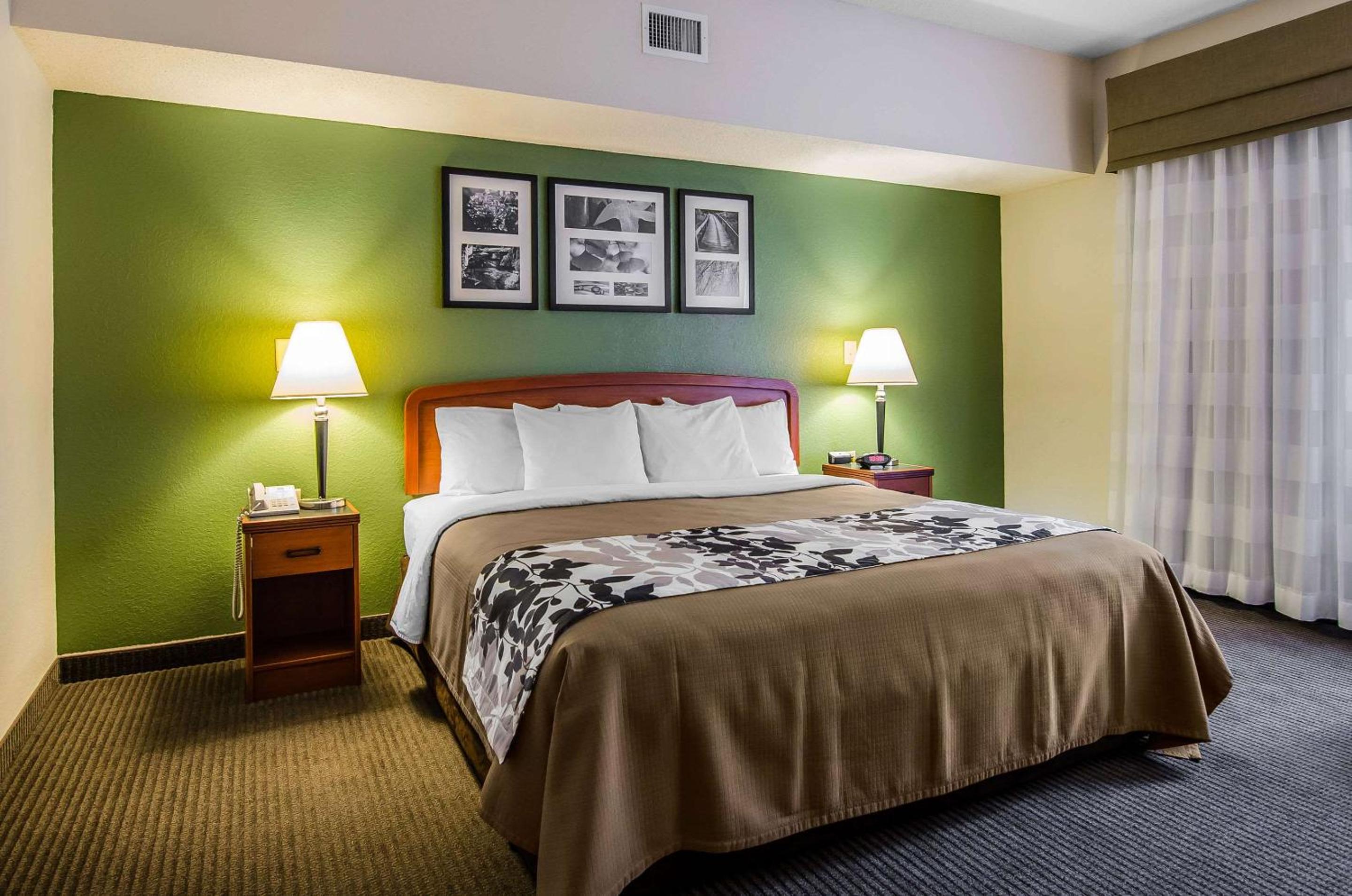 King Room - Photo 7