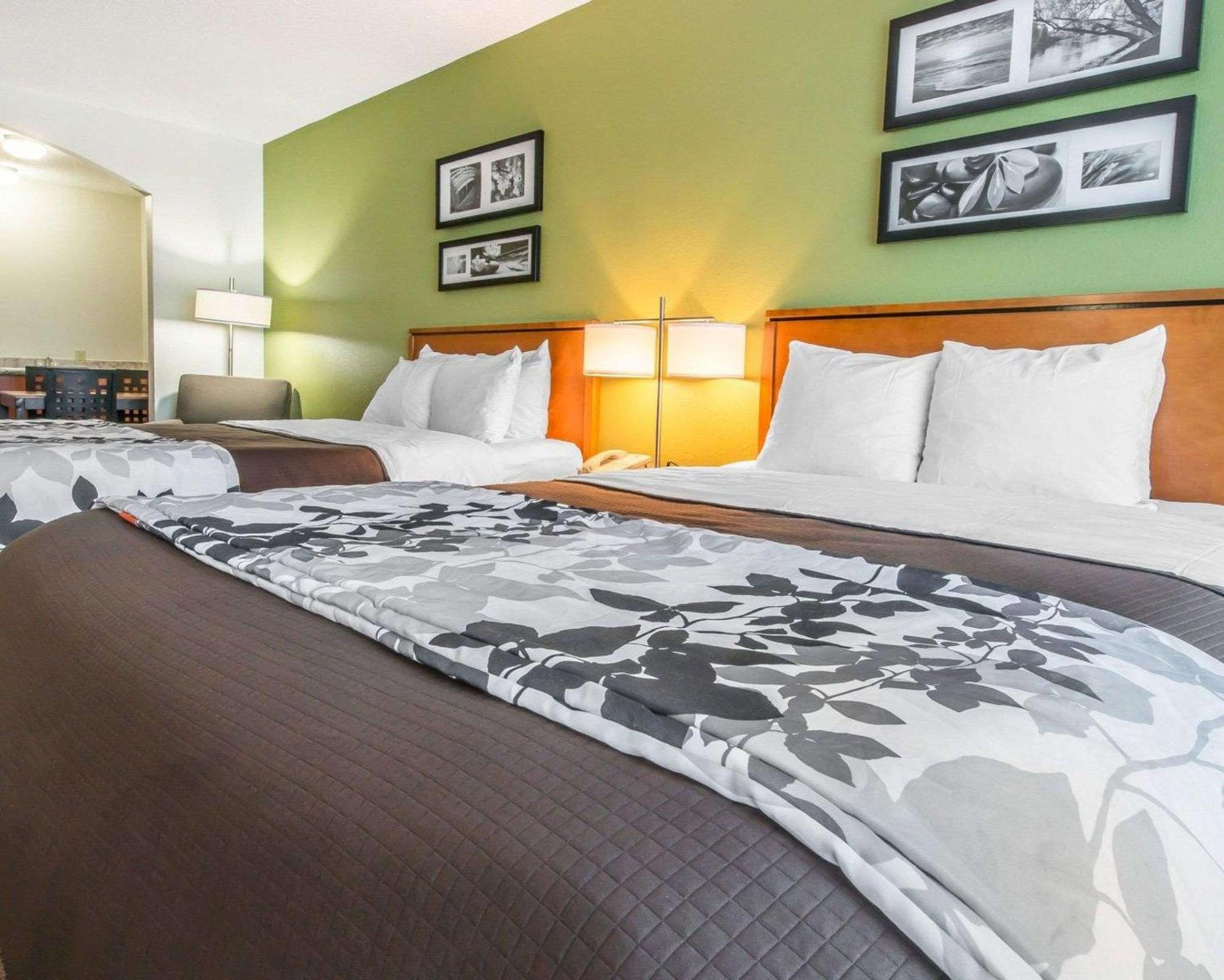 Standard Queen Room with Two Queen Beds- Non Smoking - Photo 2